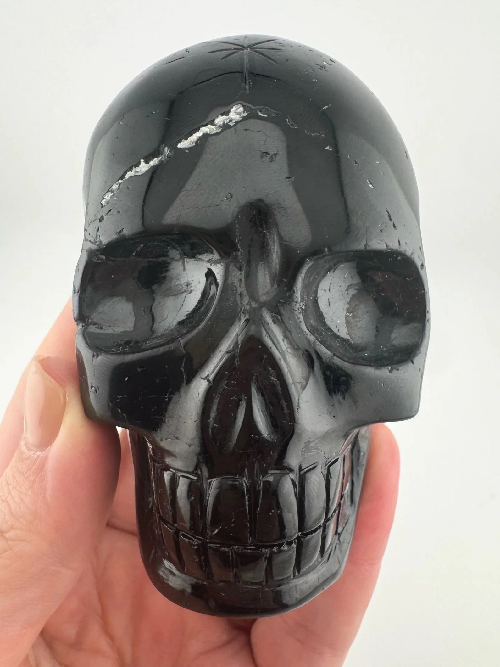 Leandro de Souza Shaman Palm Skull