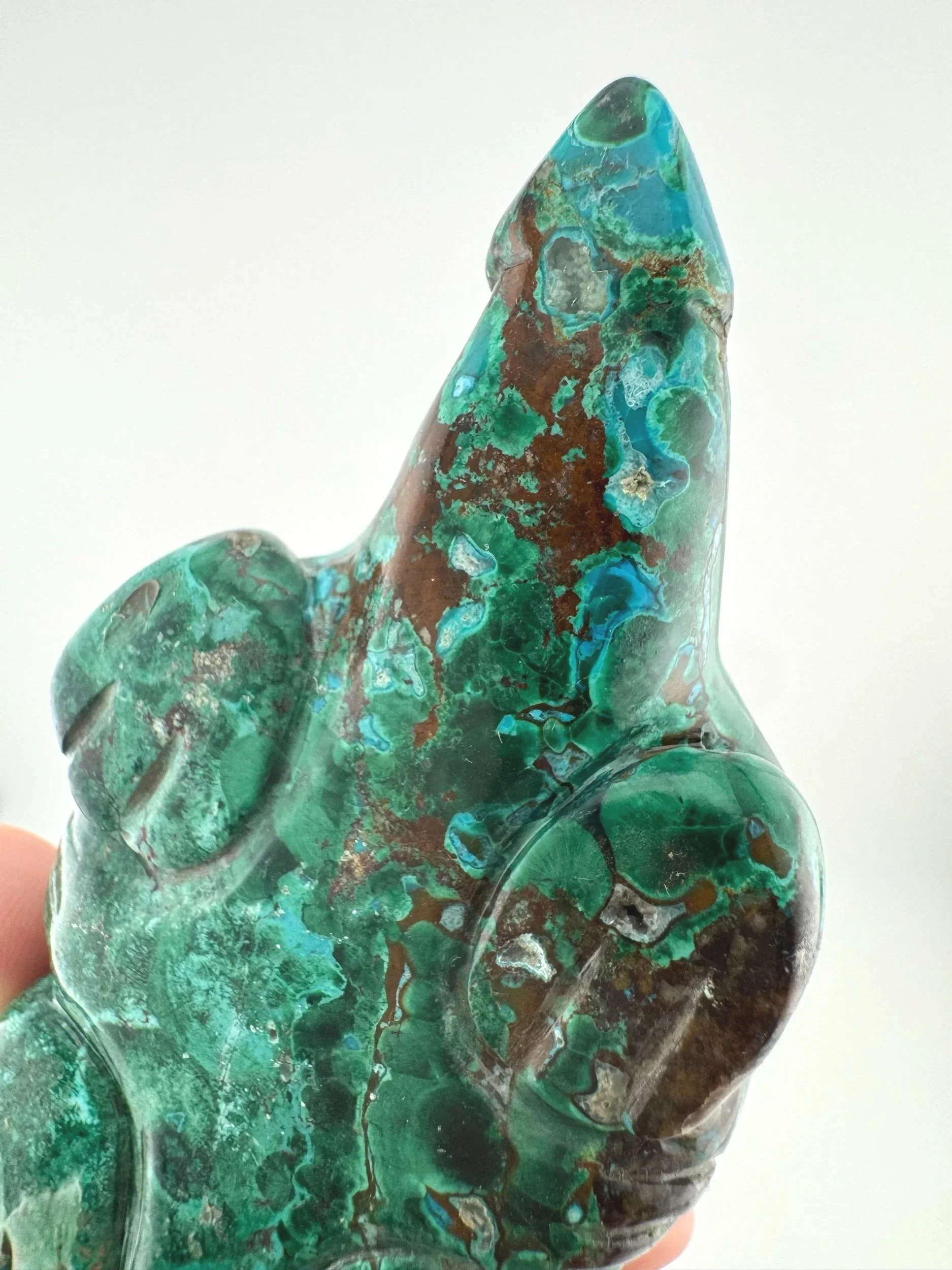 Leandro de Souza Malachite Chrysocolla Dodo Dragon