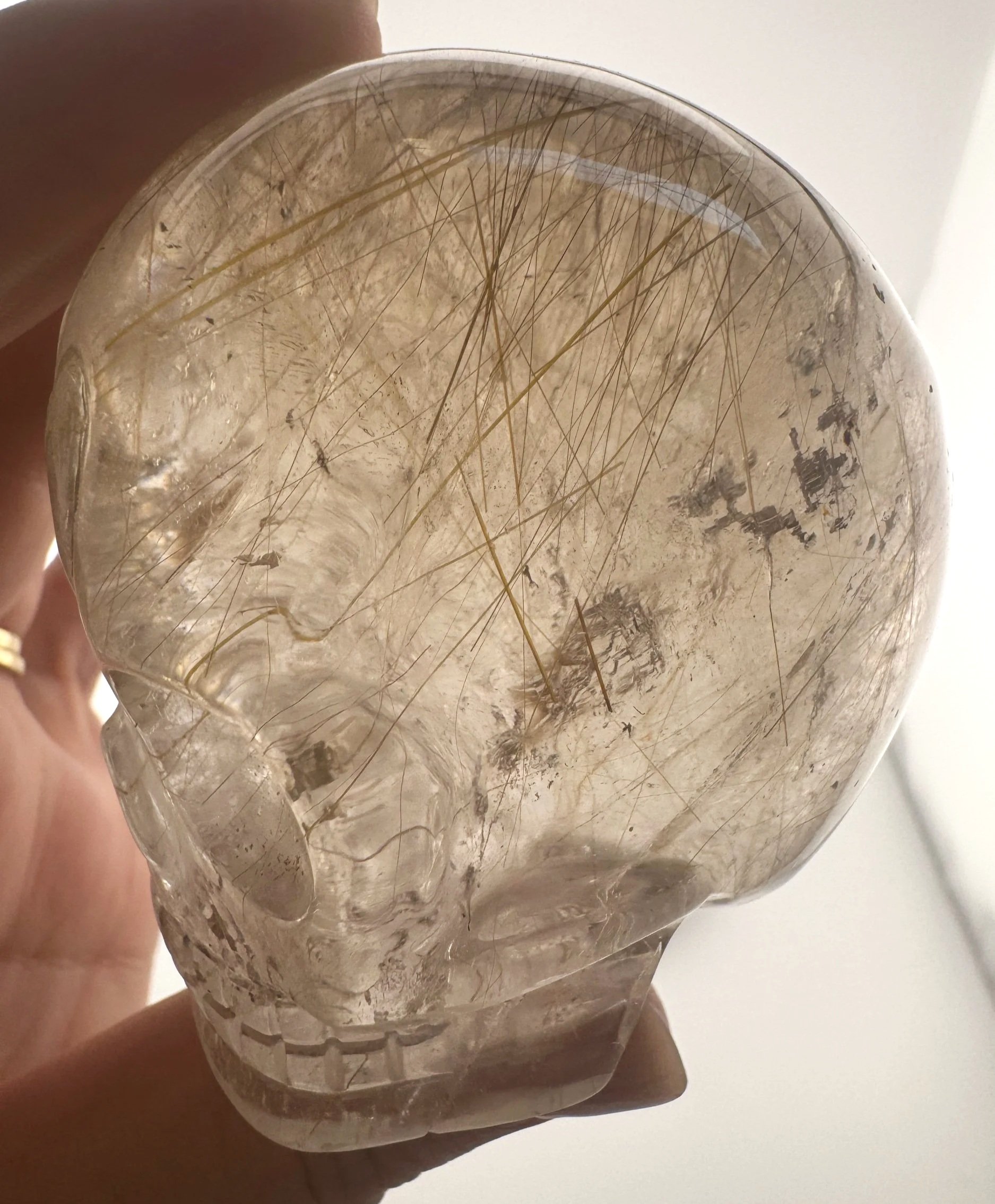 Leandro de Souza Golden Rutile in Smoky Quartz Magical Child Skull