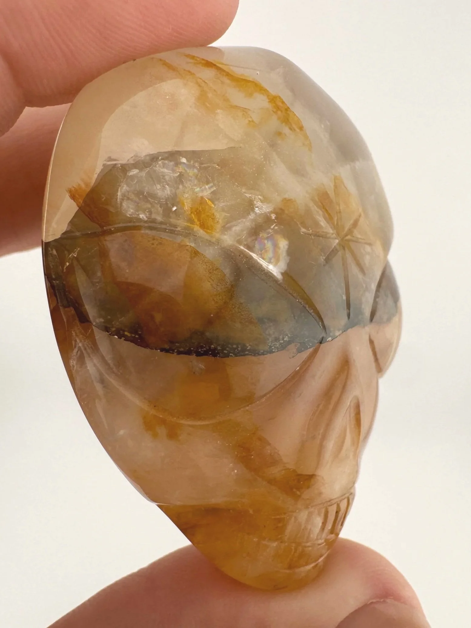 Leandro de Souza Golden Healer Palm Skull