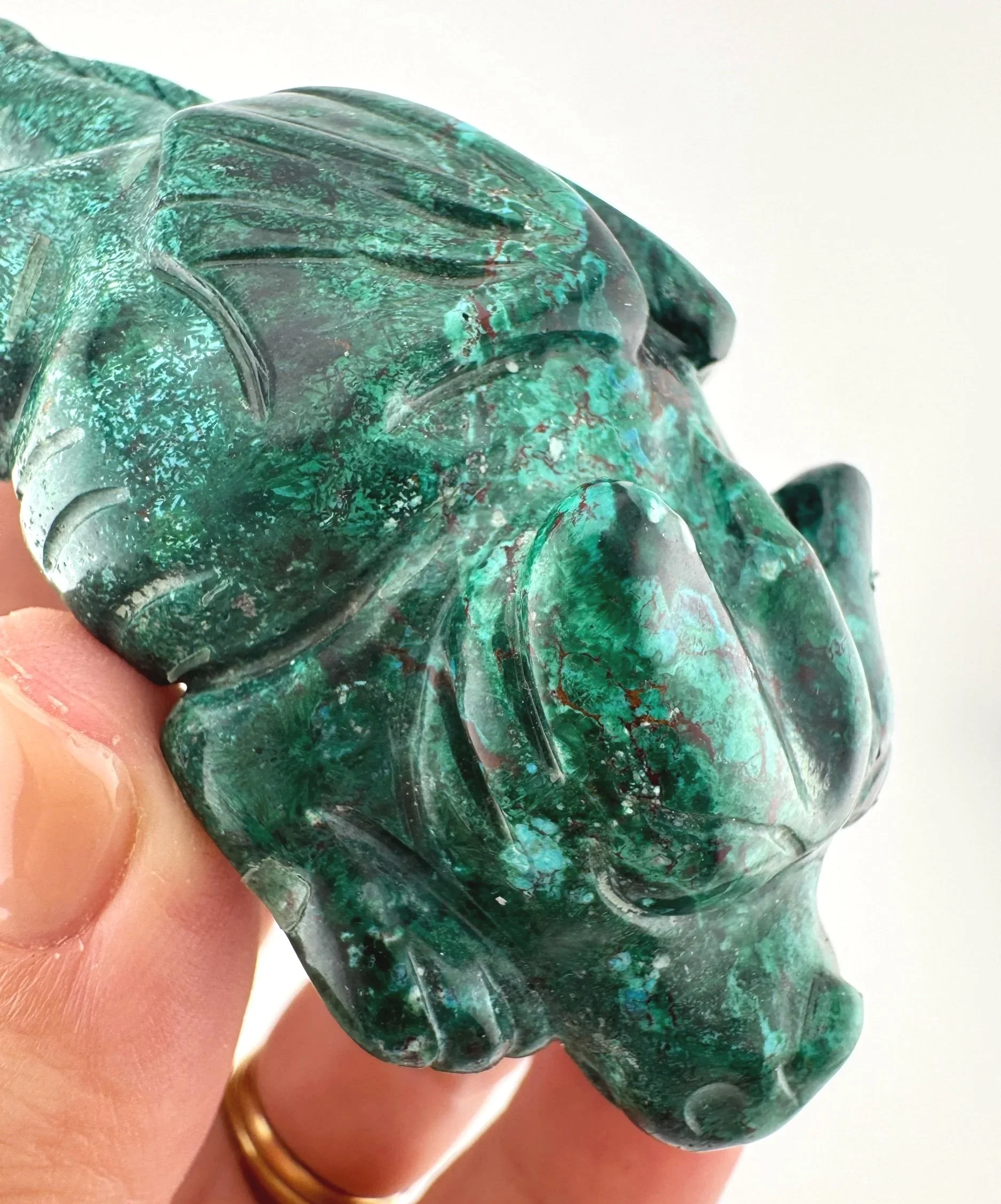 Leandro de Souza Malachite Chrysocolla Dodo Dragon