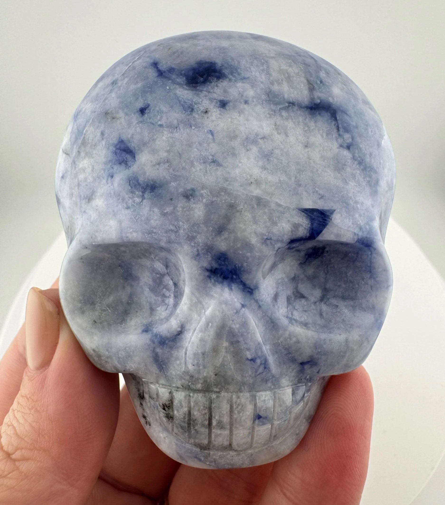 Leandro de Souza Sodalite Magical Child Palm Skull