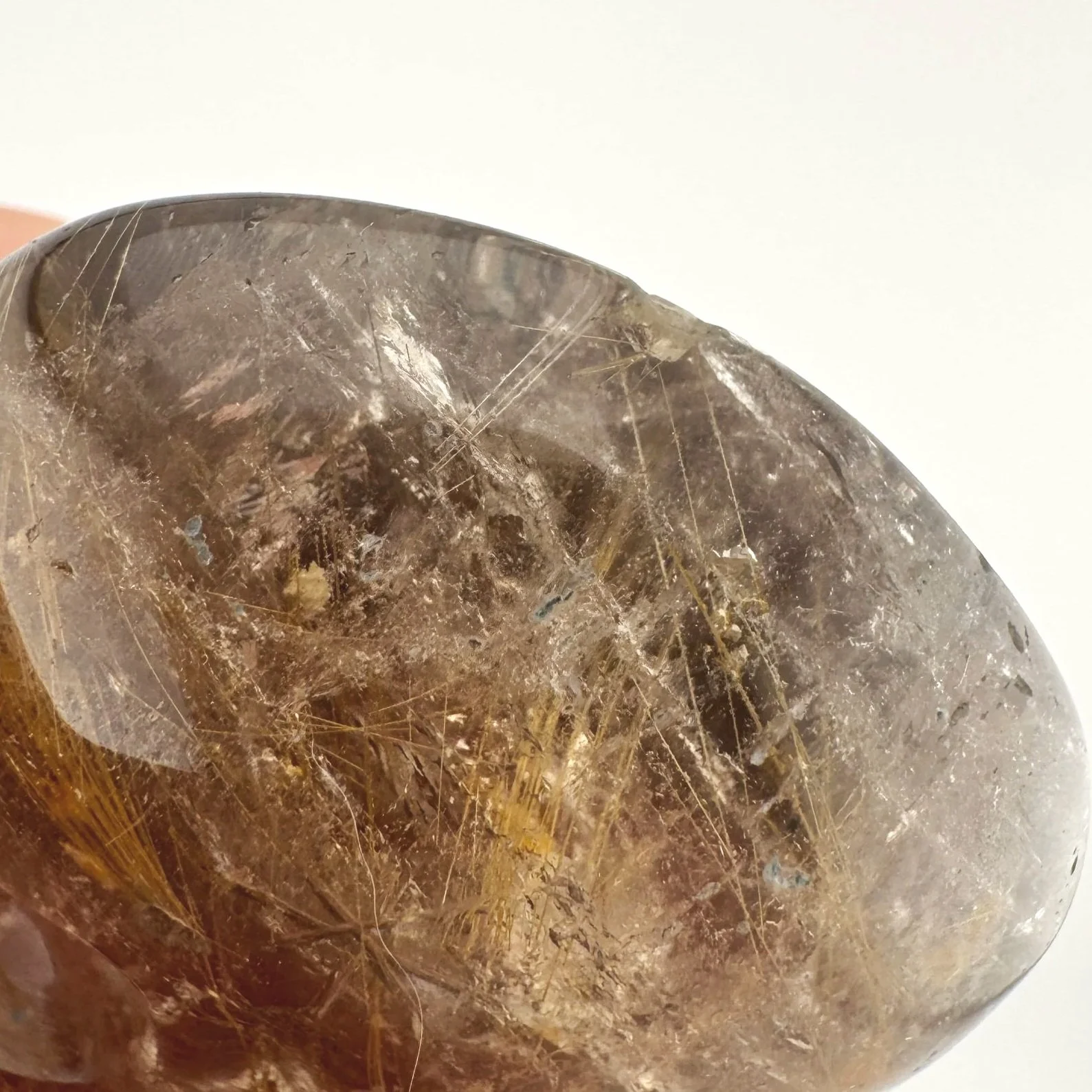 Leandro de Souza Marygold Rutile Palm Skull