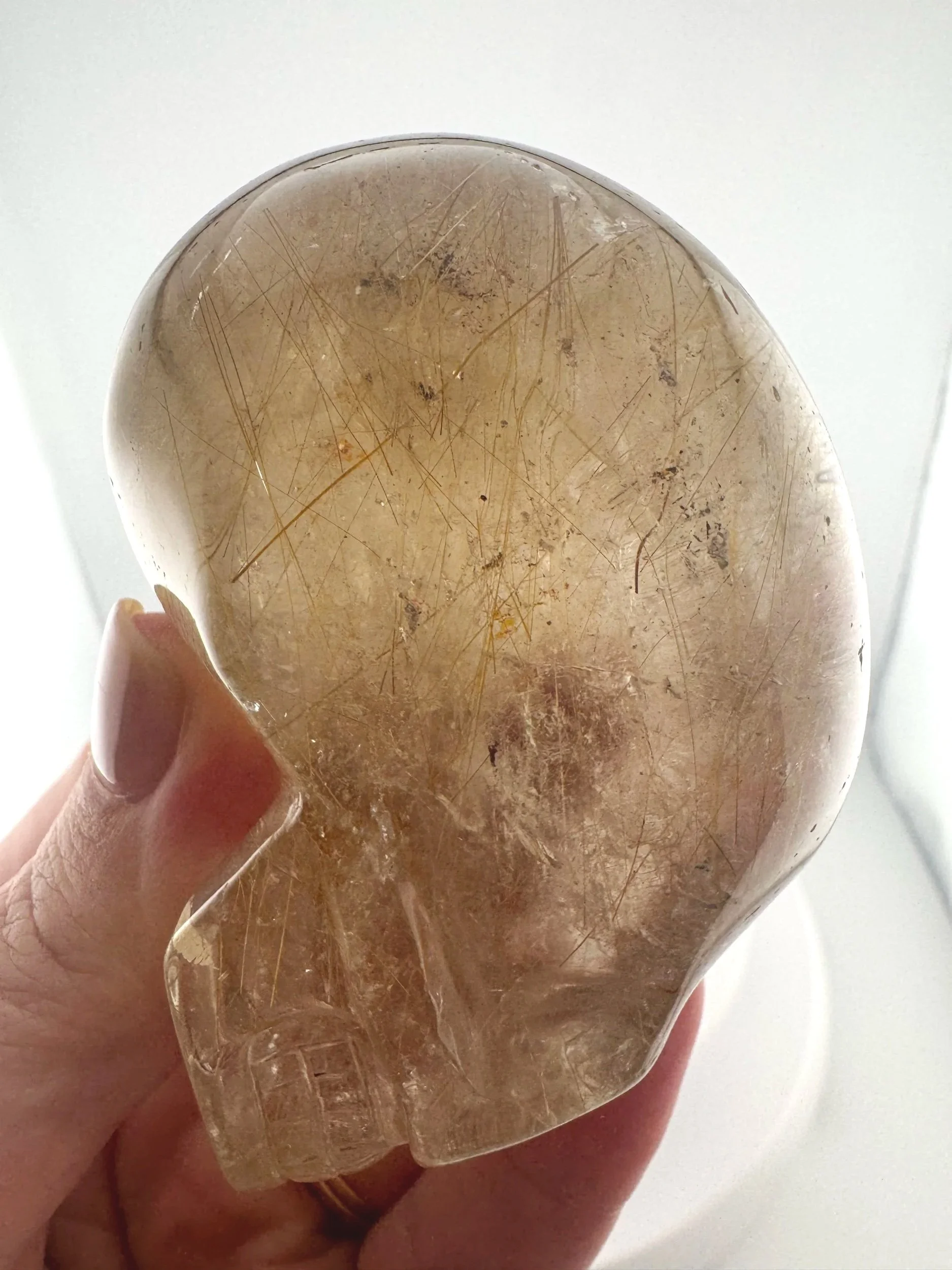 Leandro de Souza Golden Rutile in Smoky Quartz Mayan Skull