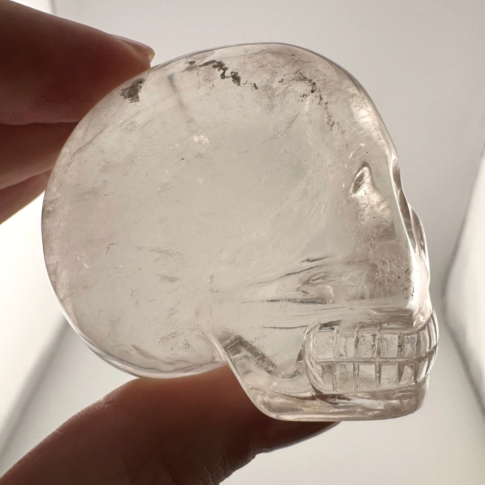 Leandro de Souza Citrine Sirius Quartz Bizoin Skull