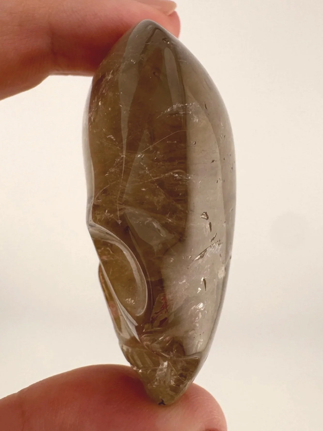 Leandro de Souza Smoky Garden Rutile Magical Child Palm Skull