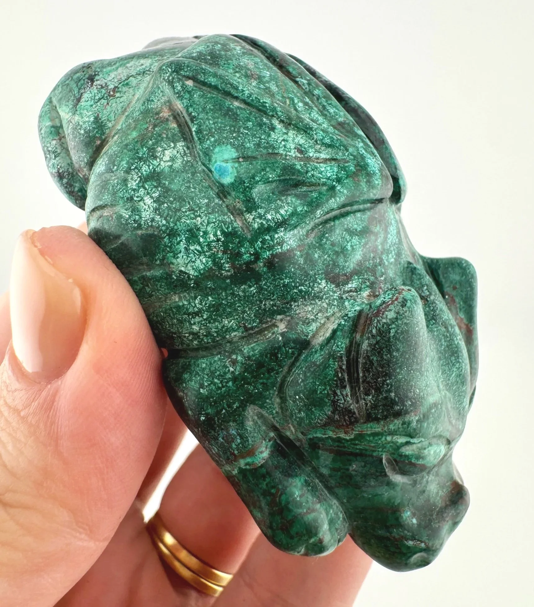 Leandro de Souza Malachite Chrysocolla Dodo Dragon