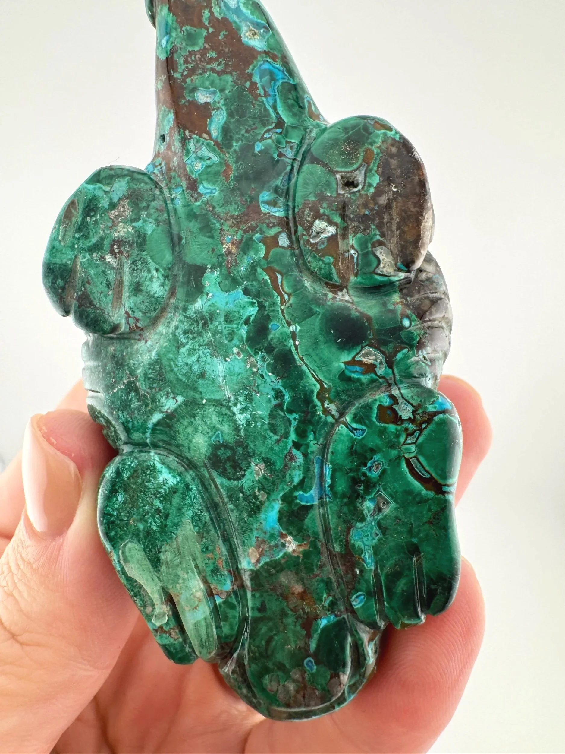 Leandro de Souza Malachite Chrysocolla Dodo Dragon