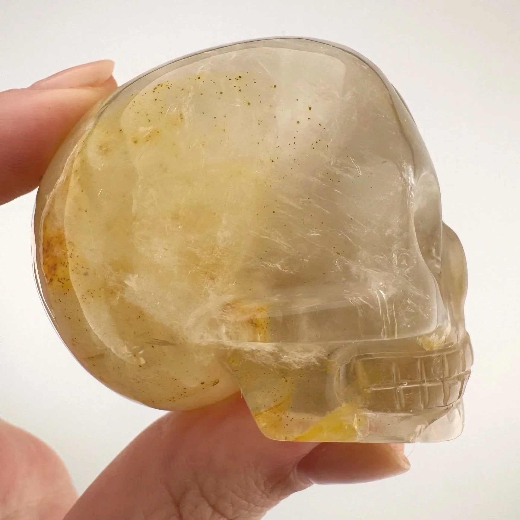 Leandro de Souza Golden Healer Skull