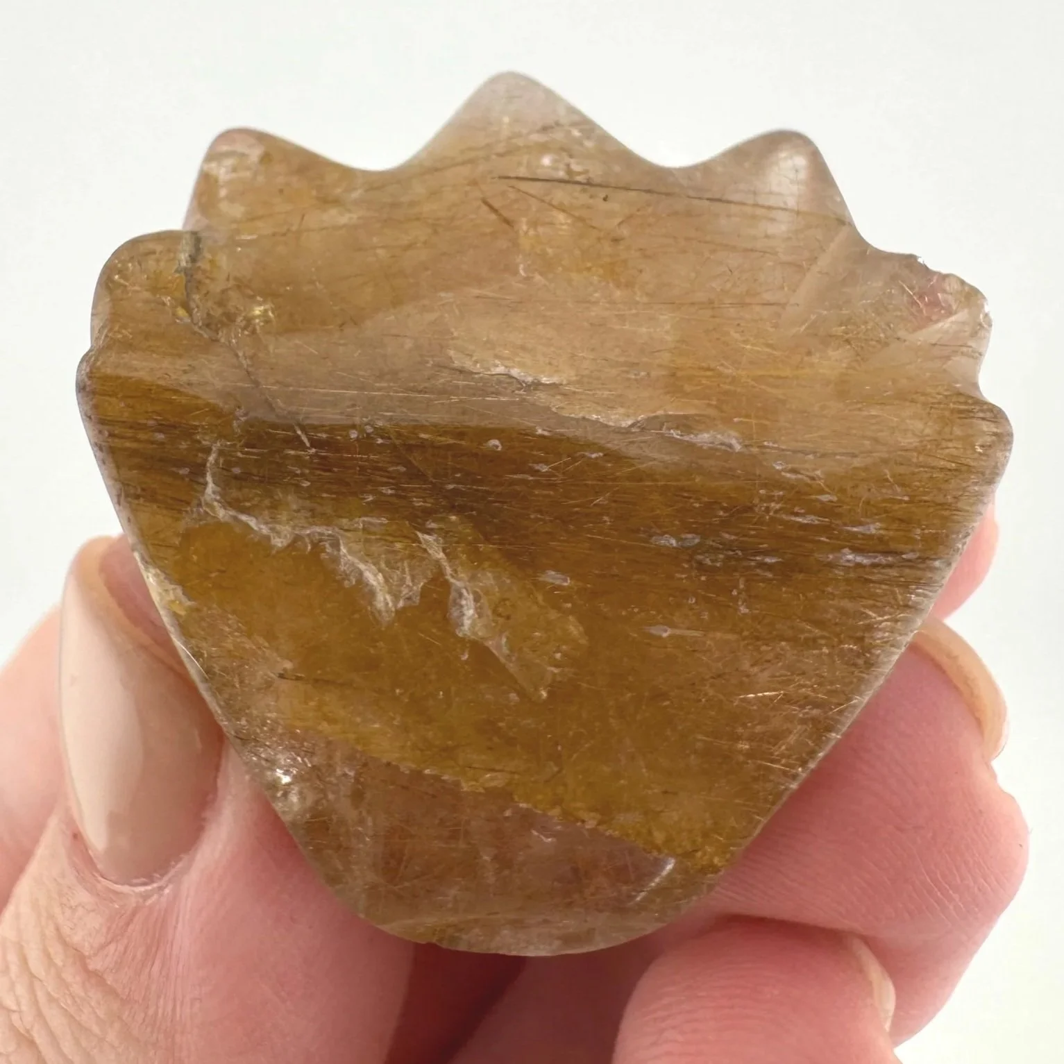 Leandro de Souza Rutilated Quartz Dragon Skull