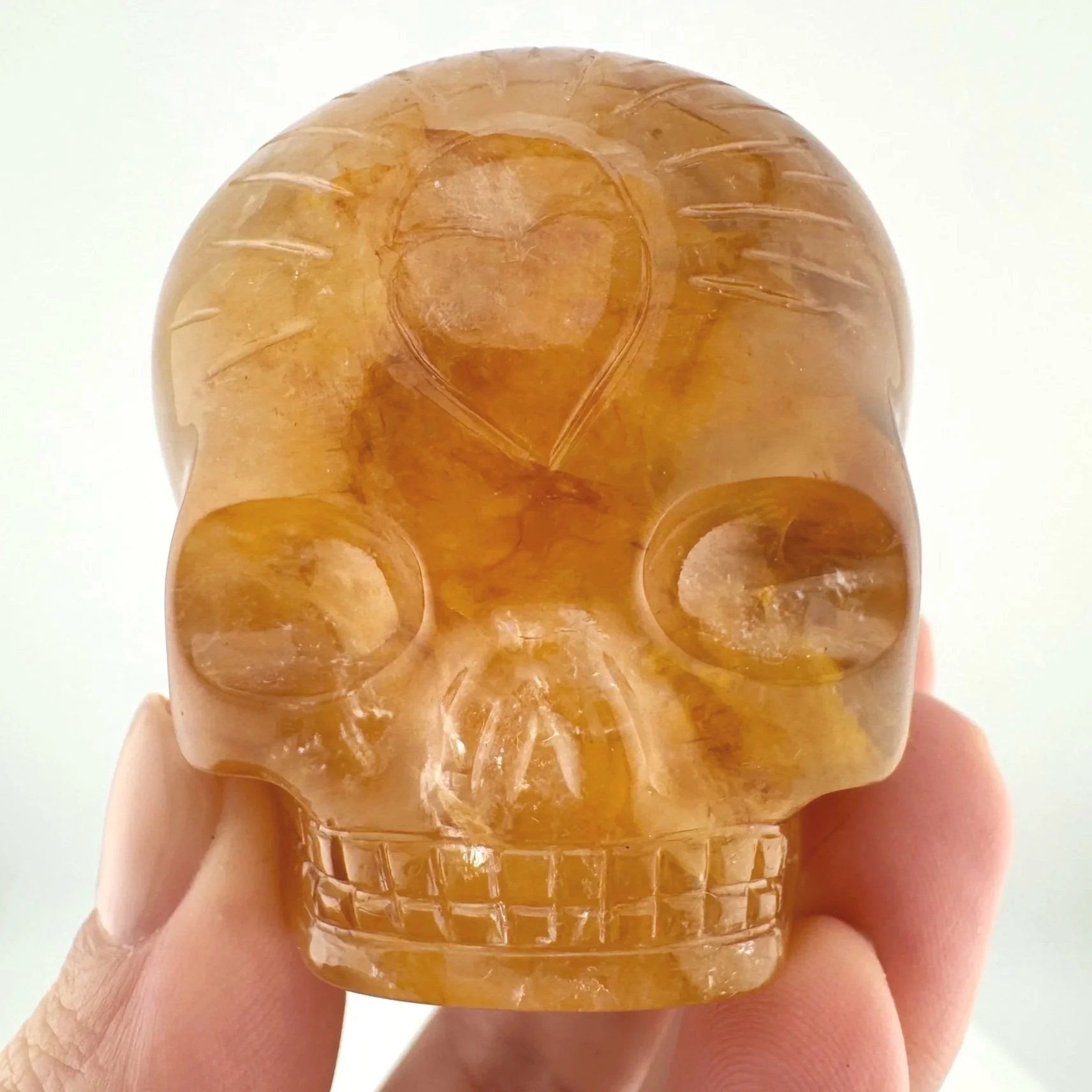 Leandro de Souza Golden Healer Magical Child Skull