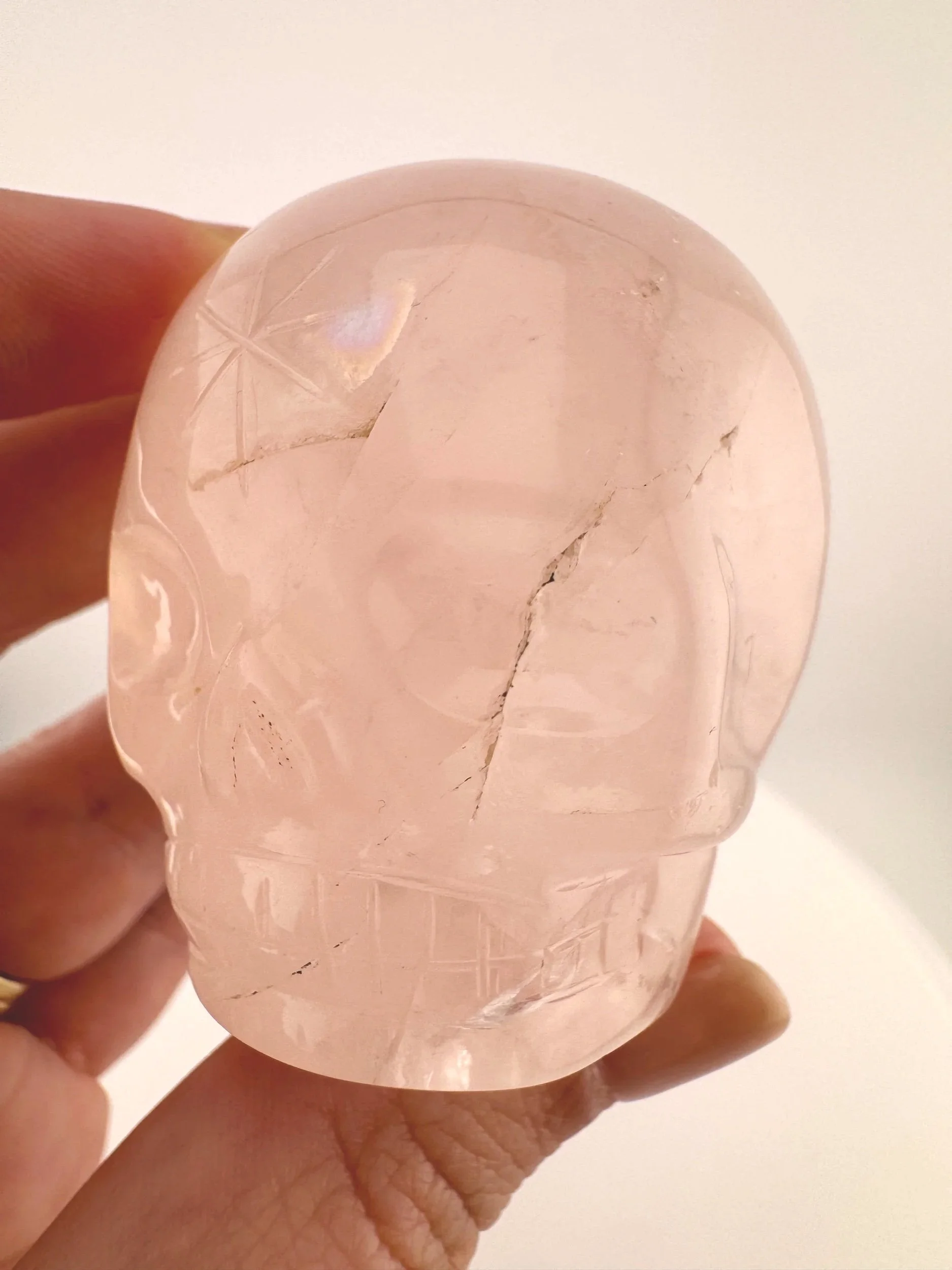 Leandro de Souza Rose Quartz Magical Child