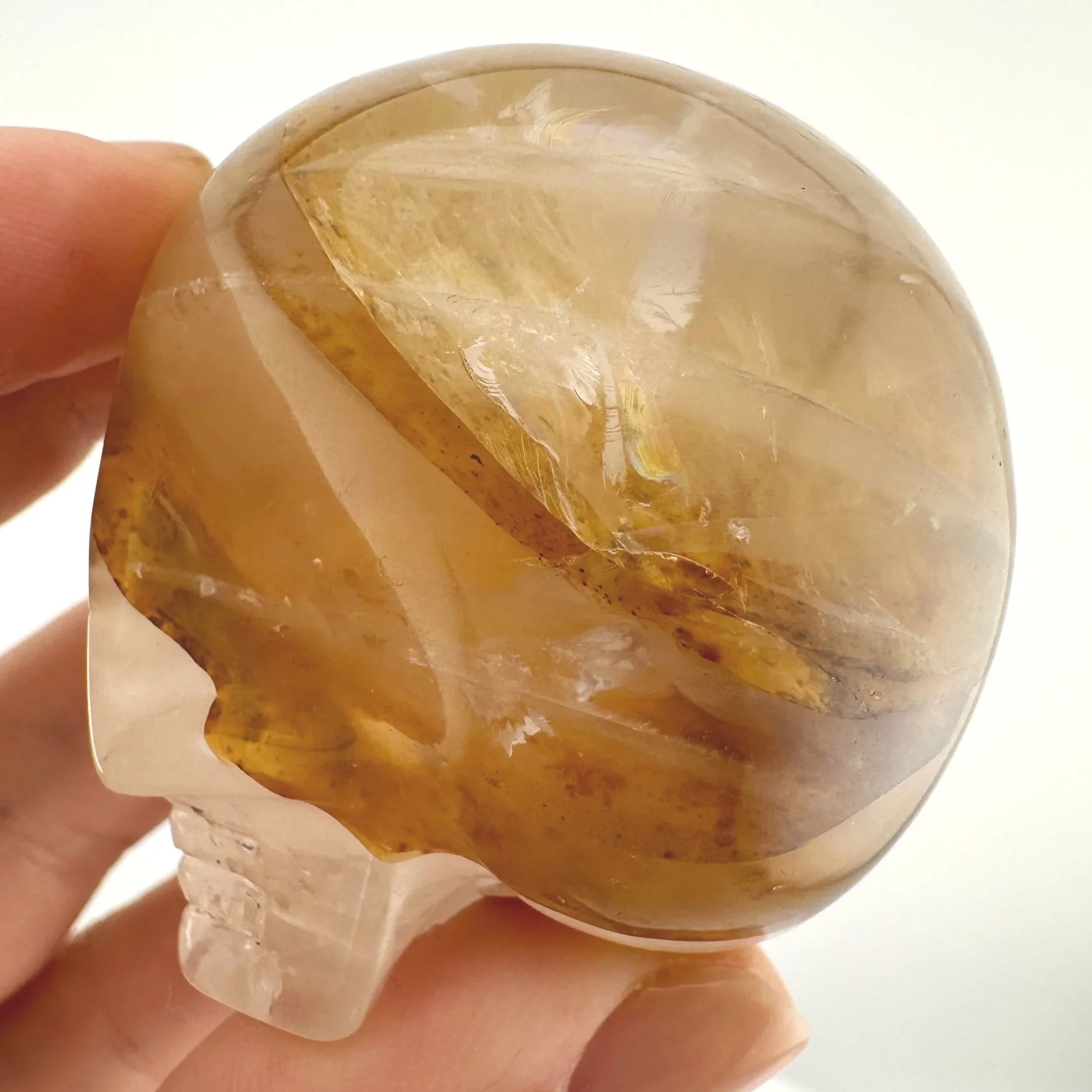 Leandro de Souza Golden Healer Magical Child Skull