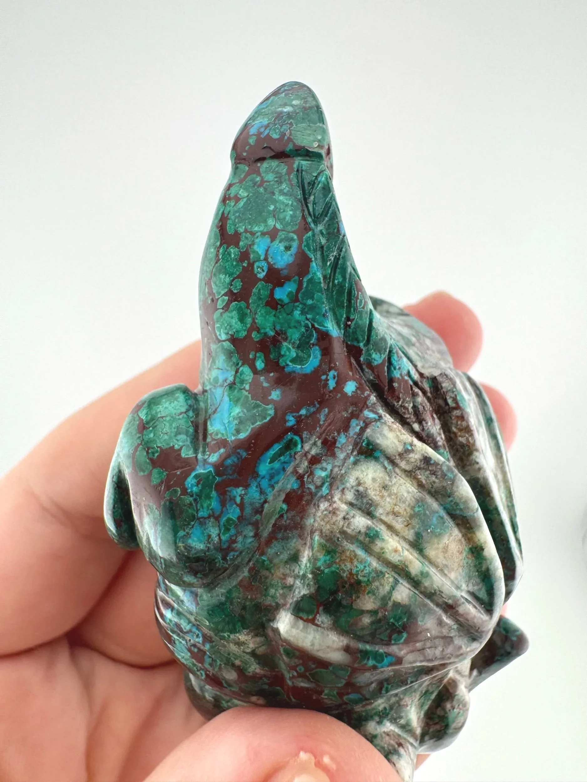 Leandro de Souza Malachite Chrysocolla Dodo Dragon