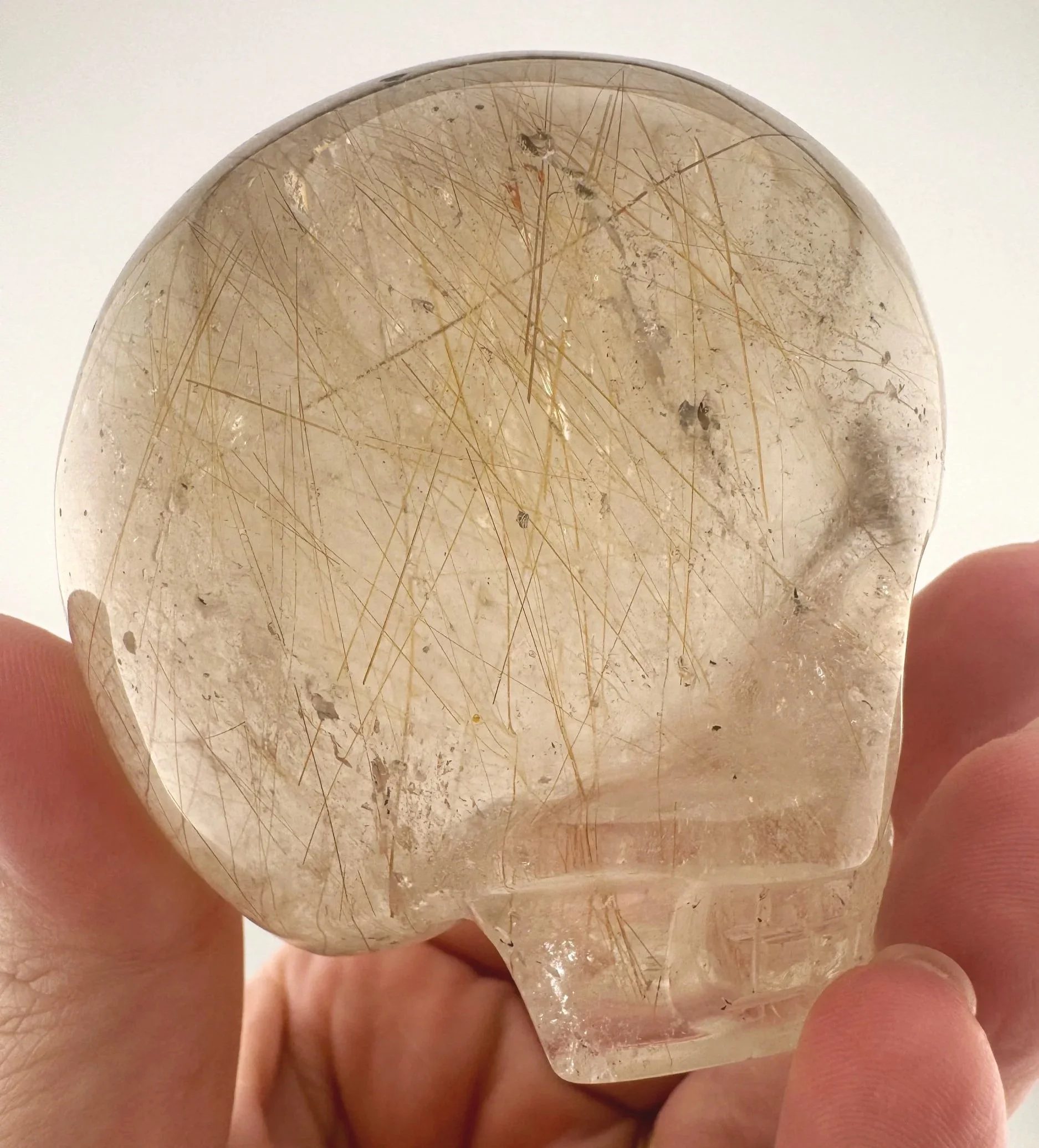 Leandro de Souza Golden Rutile in Smoky Quartz Magical Child Skull