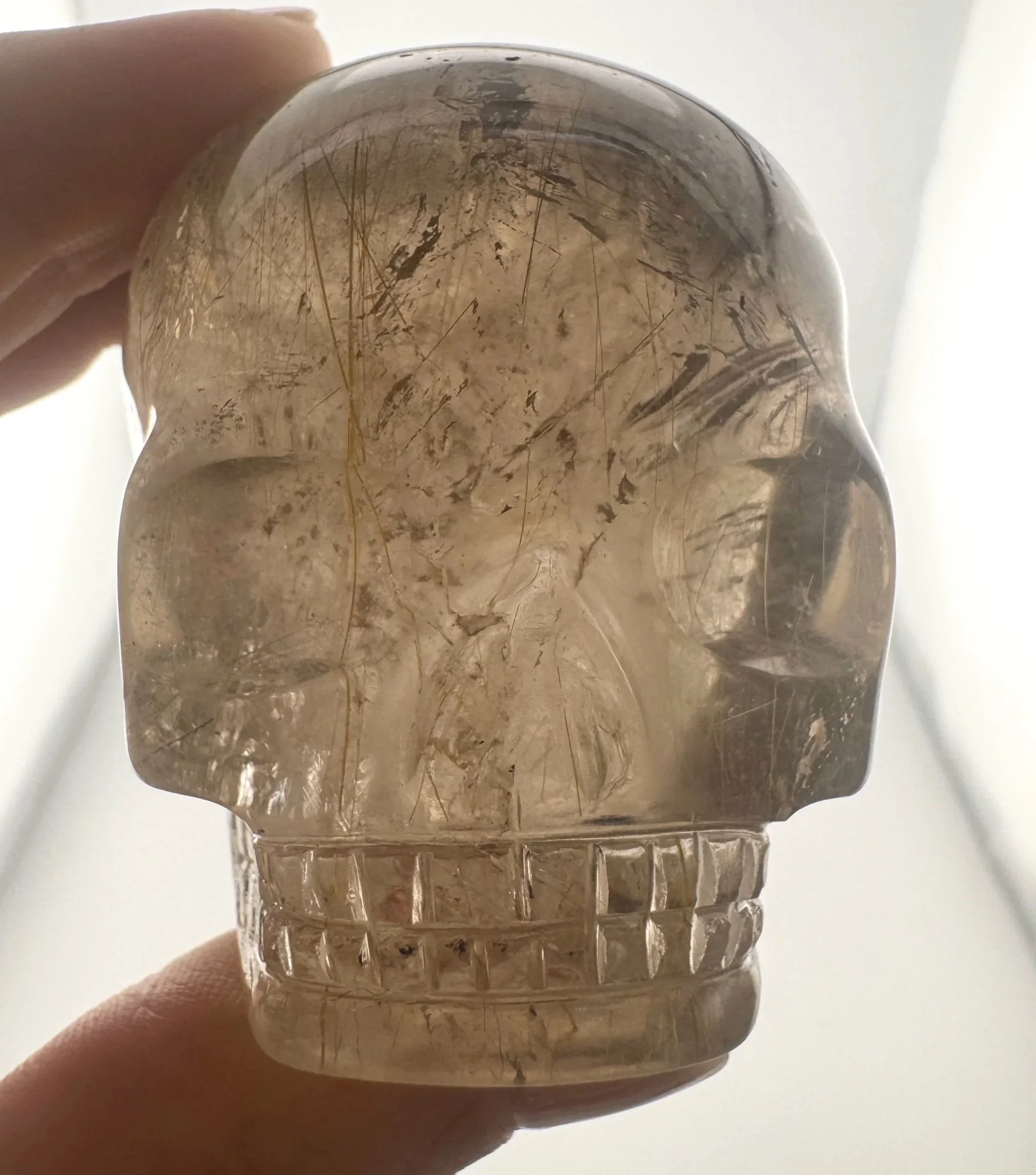 Leandro de Souza Golden Rutile in Smoky Quartz Magical Child Palm Skull