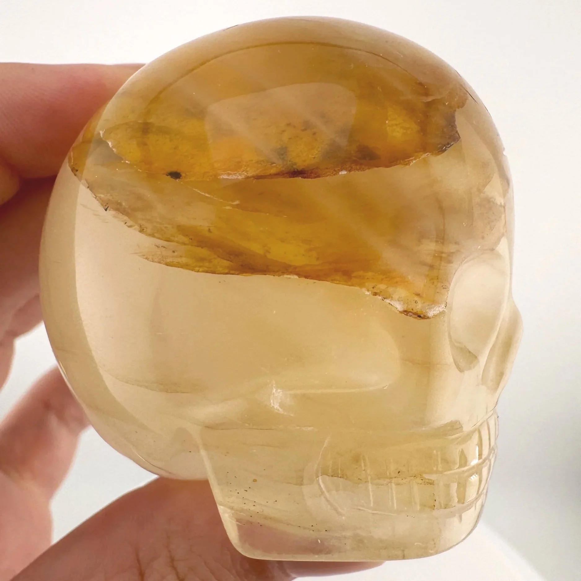 Leandro de Souza Golden Healer Magical Child Skull