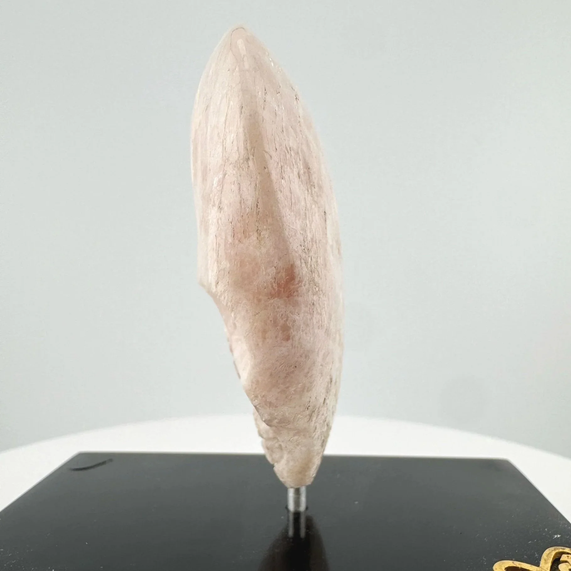 Leandro de Souza Morganite Magical Child Circle of Love Altar