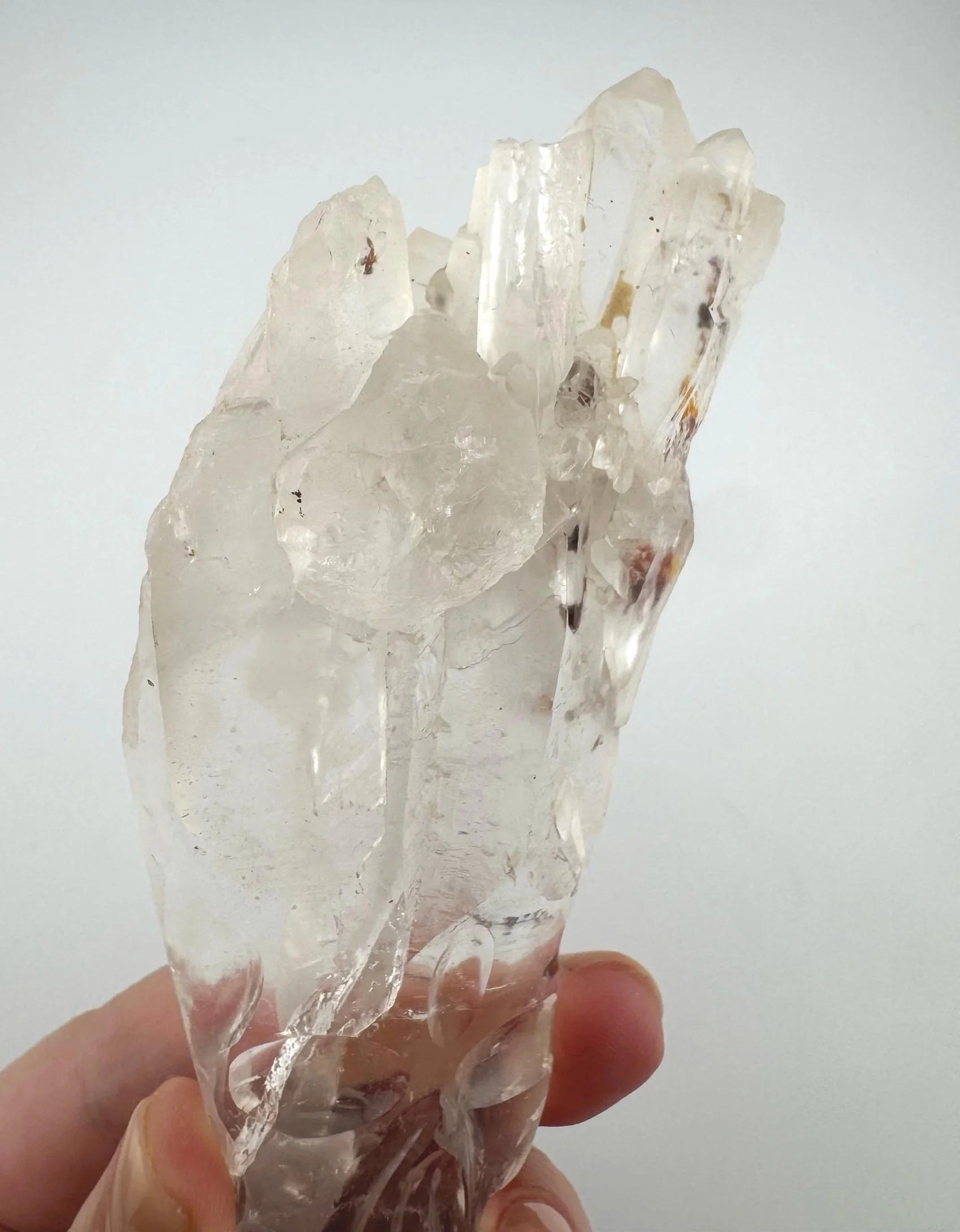 Leandro de Souza Cathedral Quartz Shaman Skull Wand