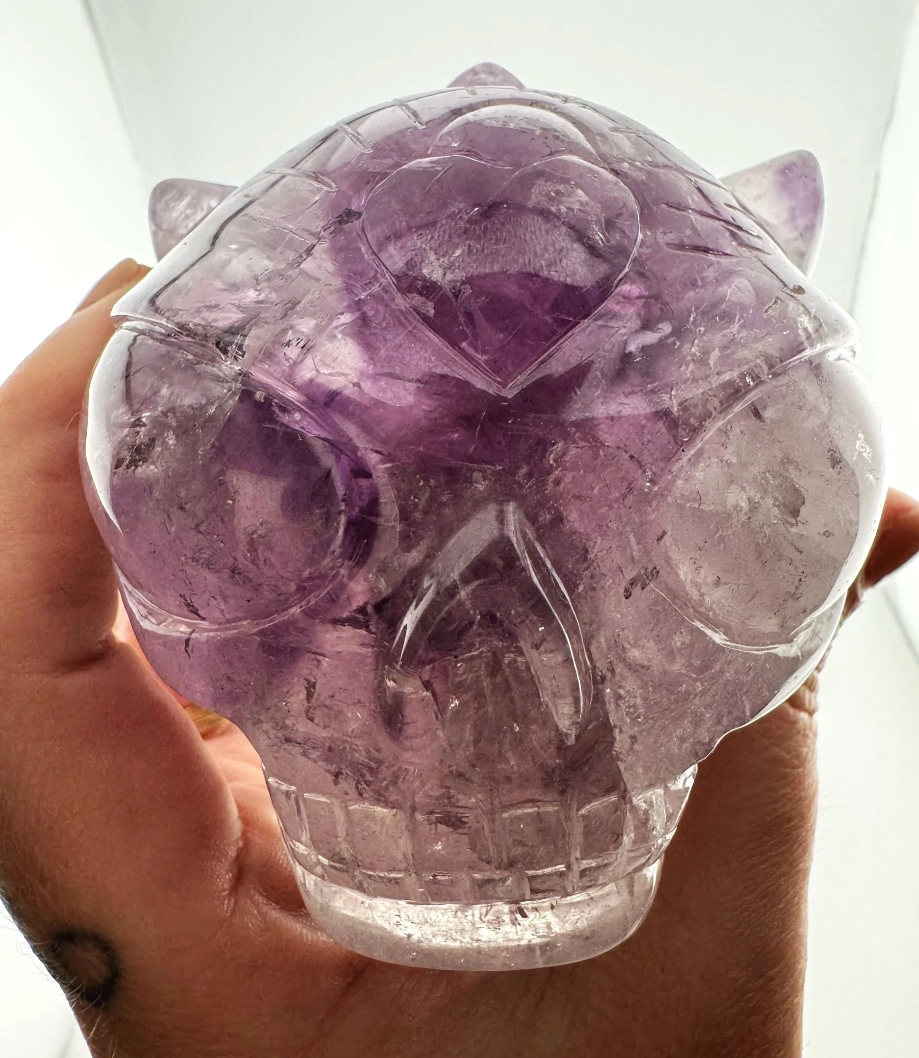 Leandro de Souza Twin Flame Star Being and Dragon Skull