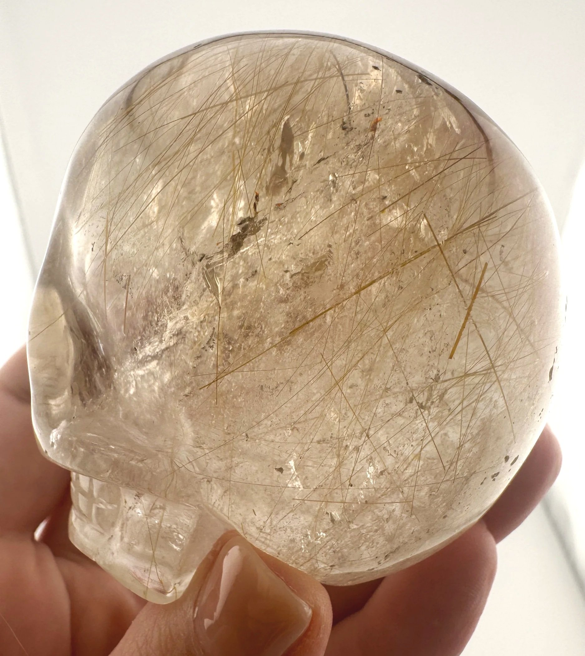 Leandro de Souza Golden Rutile in Smoky Quartz Magical Child Skull