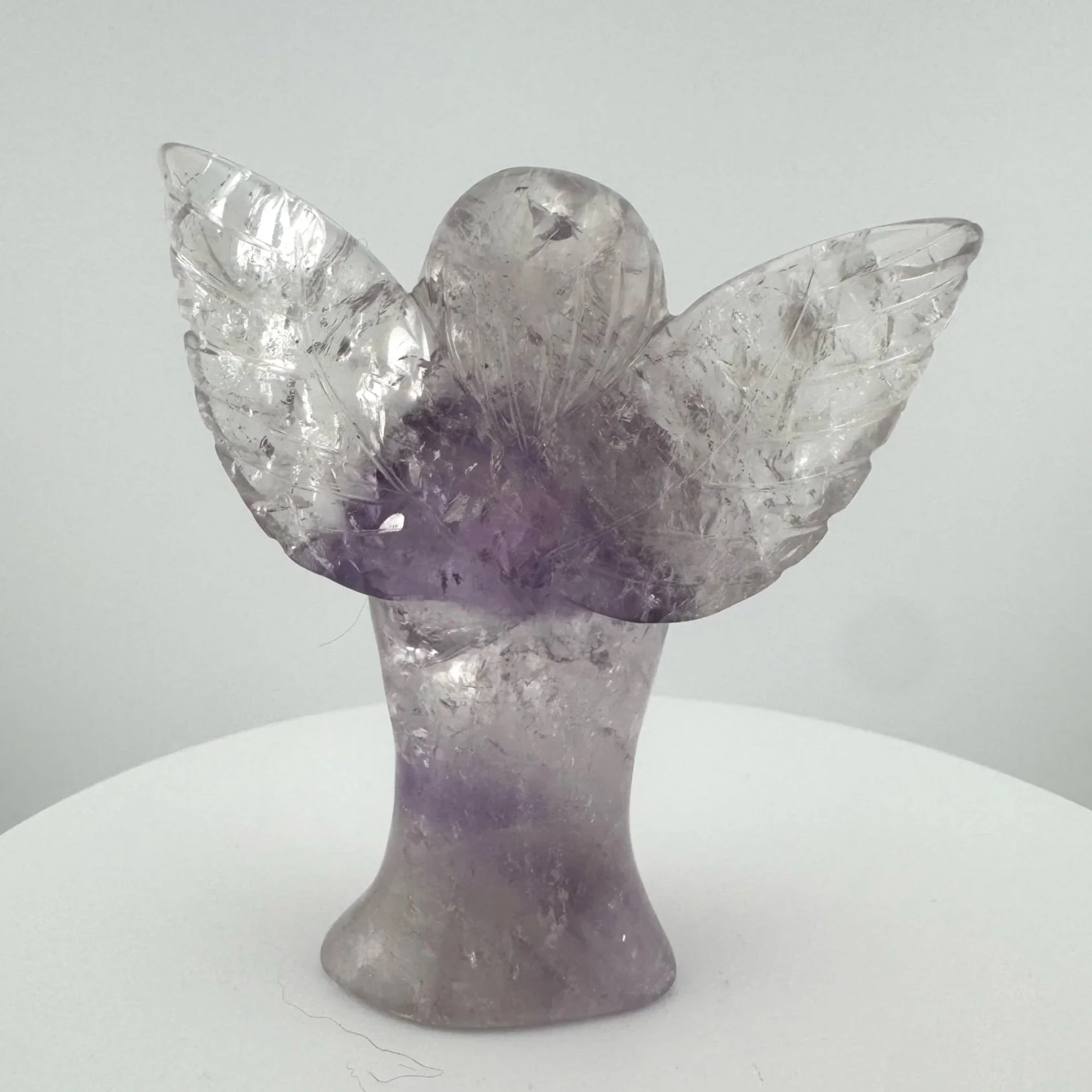 Leandro de Souza Bahia Phantom Amethyst Angel