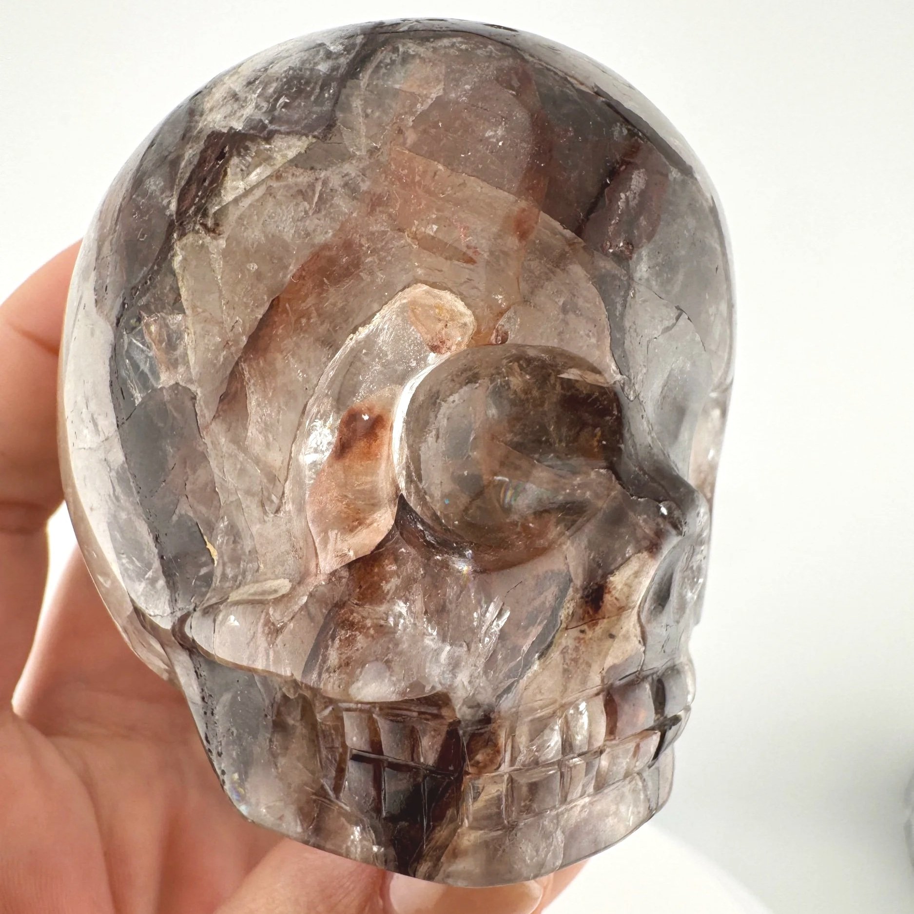 Leandro de Souza Hematoid Quartz Magical Child Skull