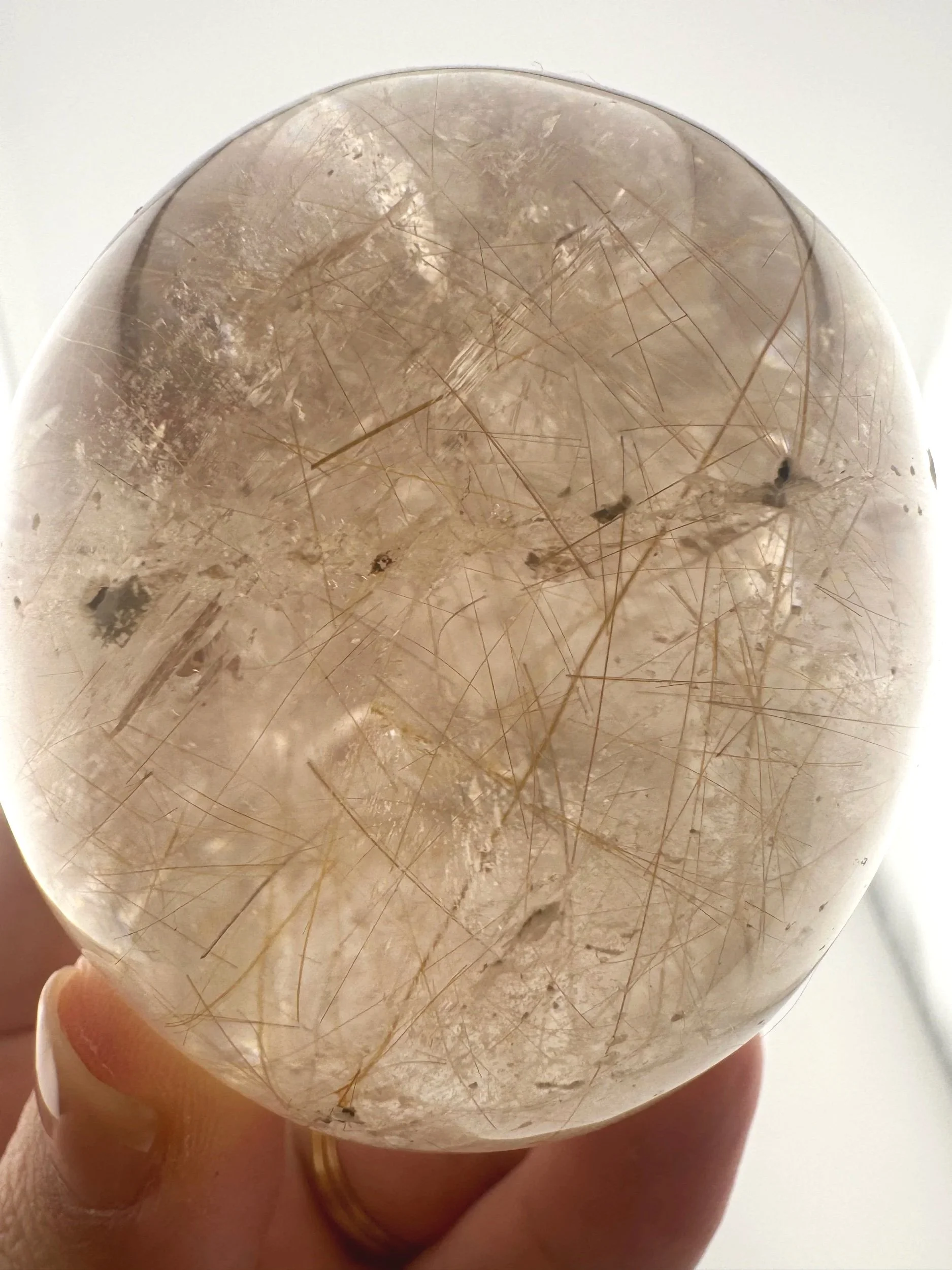 Leandro de Souza Golden Rutile in Smoky Quartz Magical Child Skull
