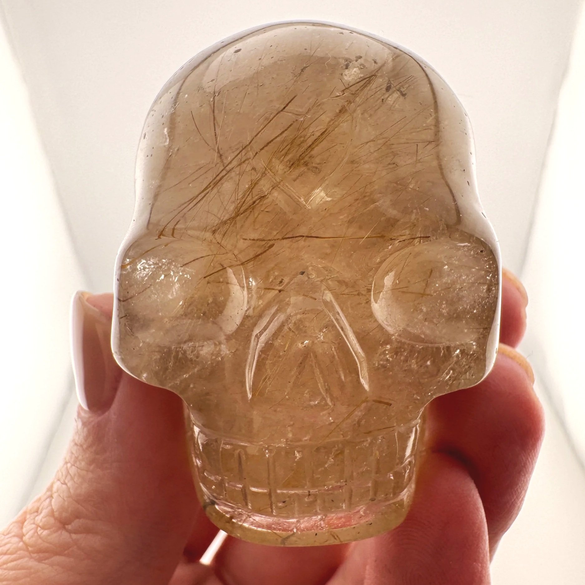 Leandro de Souza Golden Rutile in Smoky Quartz Skull