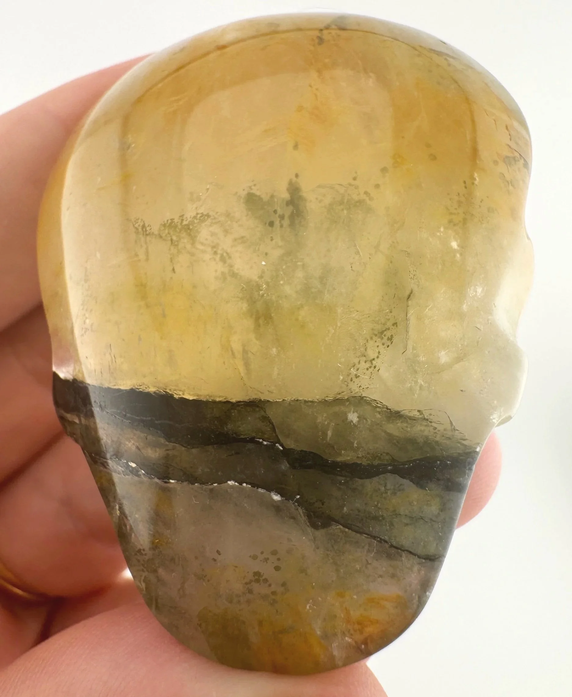 Leandro de Souza Golden Healer Palm Skull