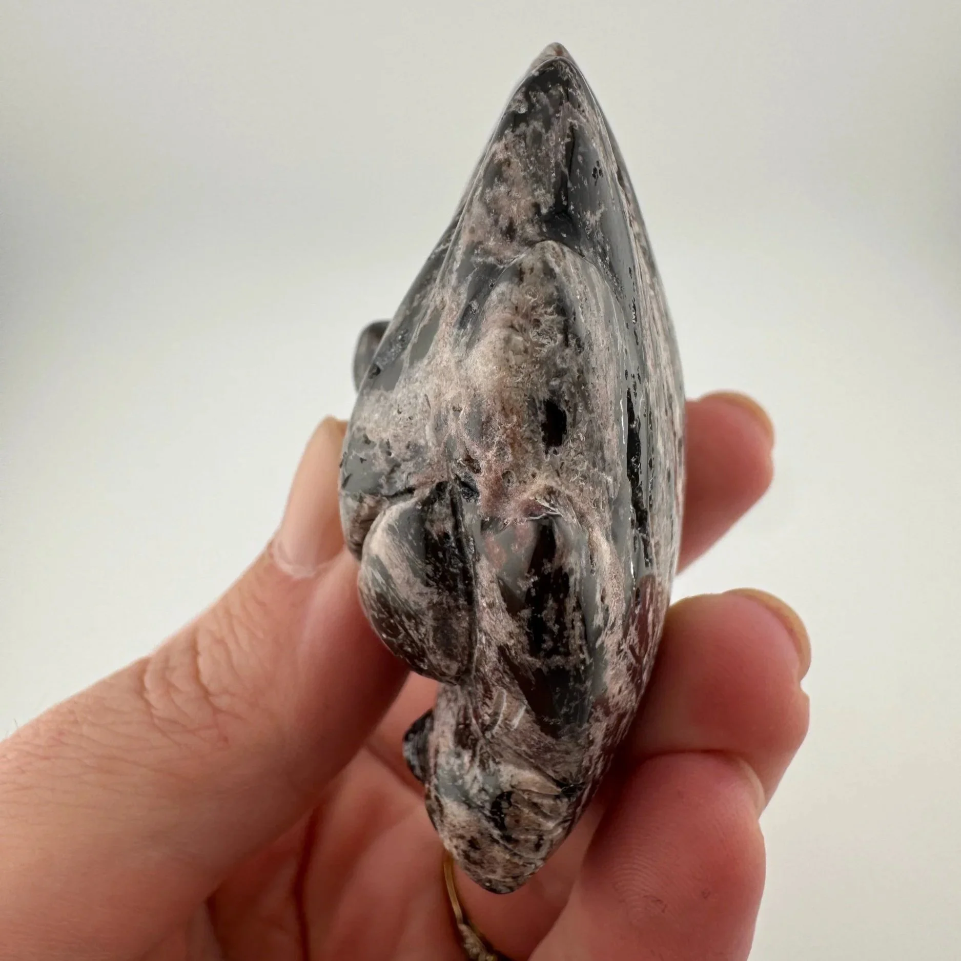 Leandro de Souza Fascia Jasper Dragon Skull