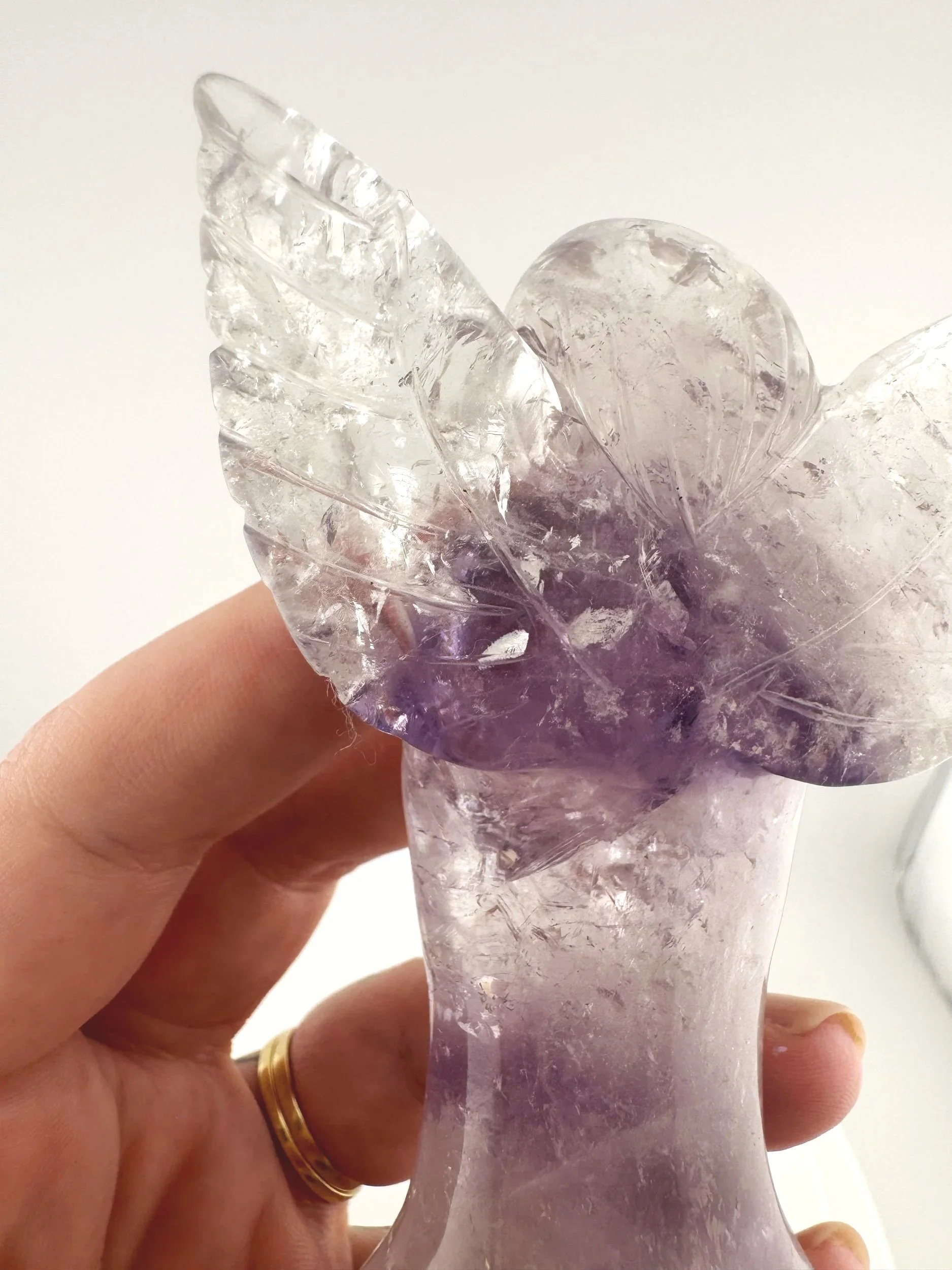 Leandro de Souza Bahia Phantom Amethyst Angel