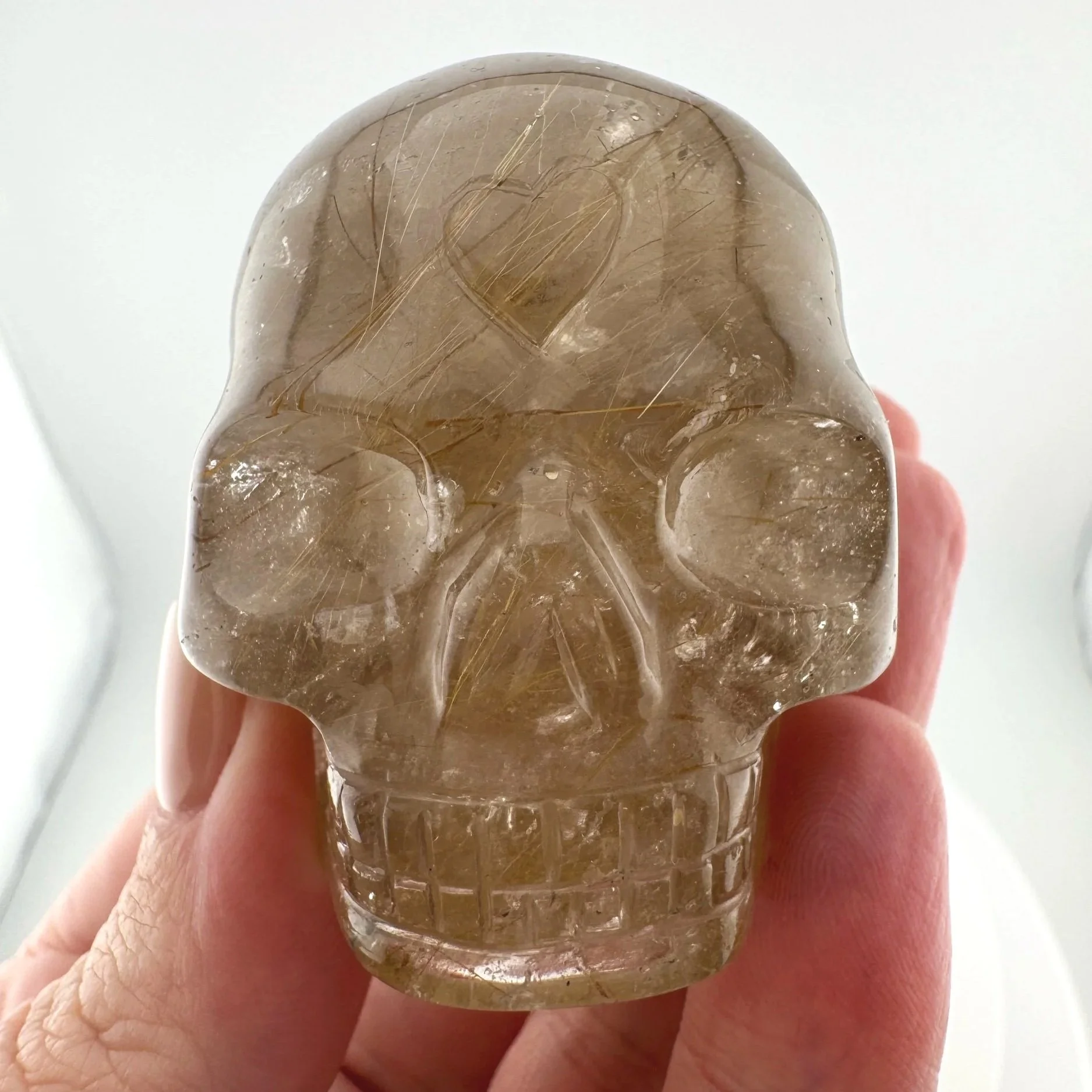 Leandro de Souza Golden Rutile in Smoky Quartz Skull