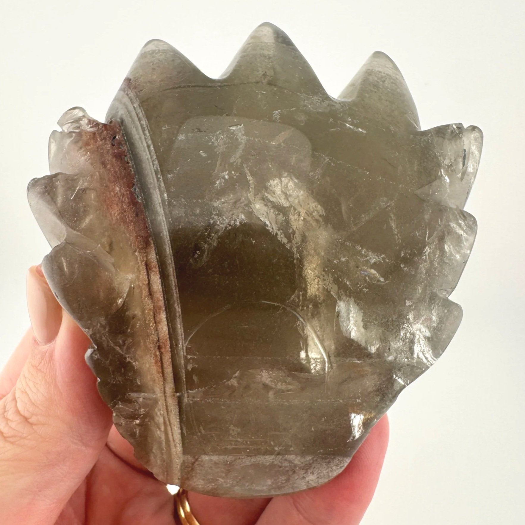 Leandro de Souza Chlorite Phantom Garden Quartz Dragon Skull