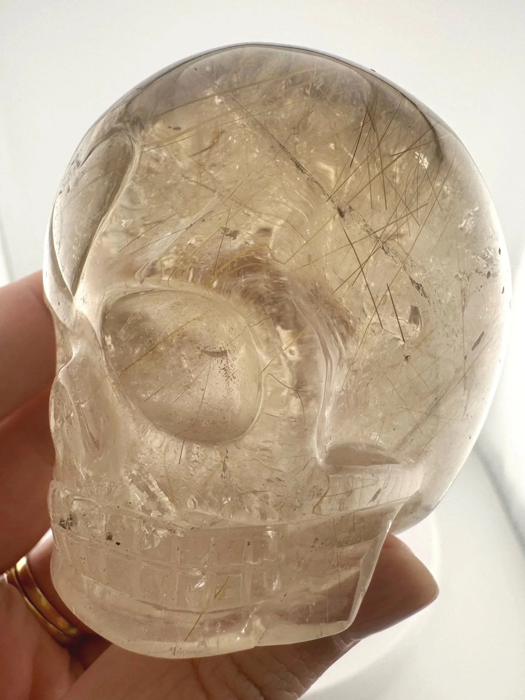 Leandro de Souza Golden Rutile in Smoky Quartz Magical Child Skull