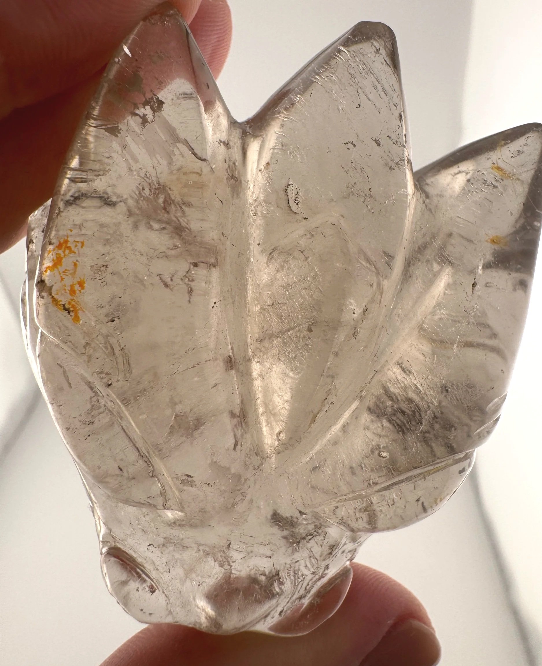 Leandro de Souza Smoky Rutilated Quartz Dragon Skull