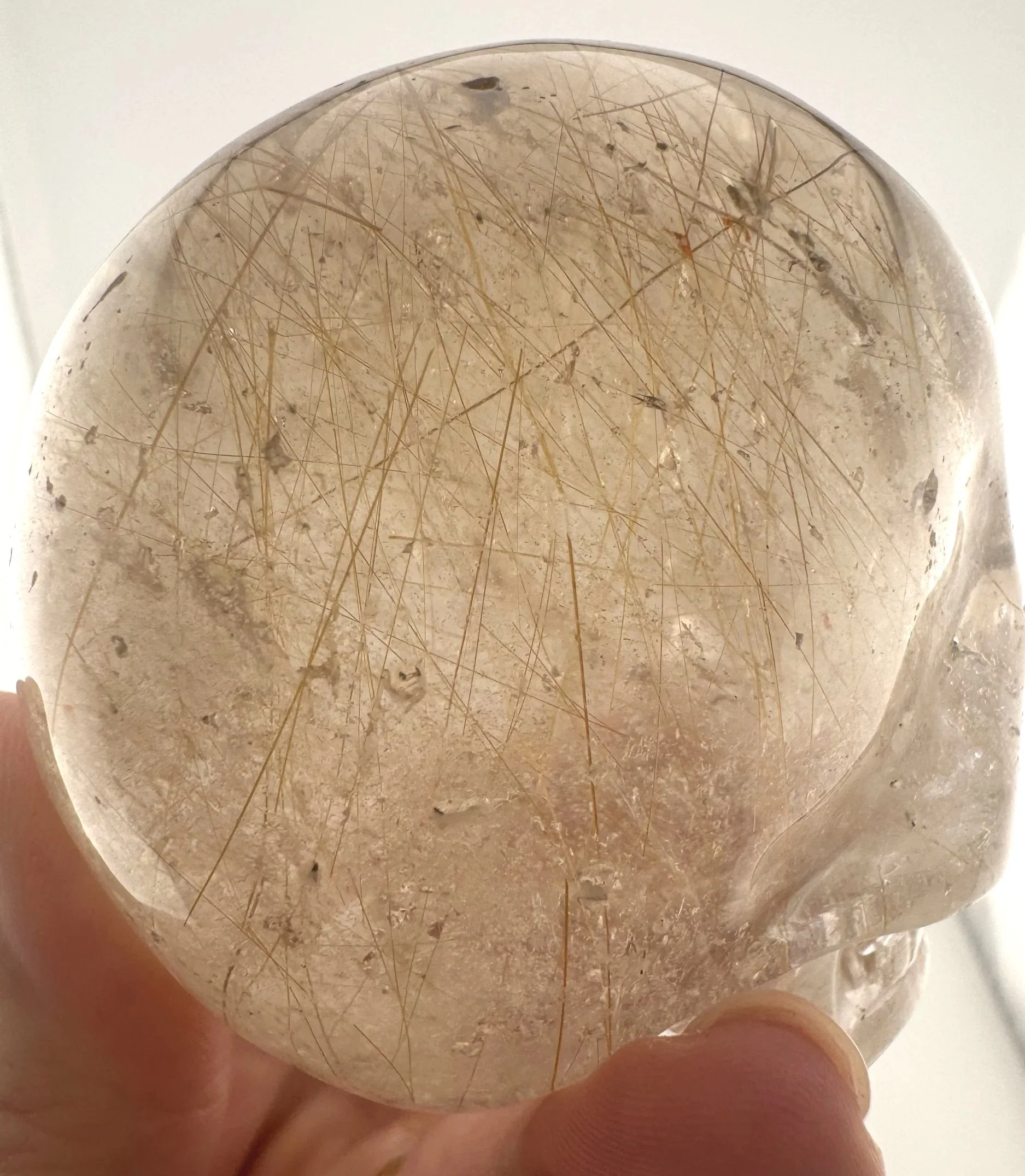 Leandro de Souza Golden Rutile in Smoky Quartz Magical Child Skull