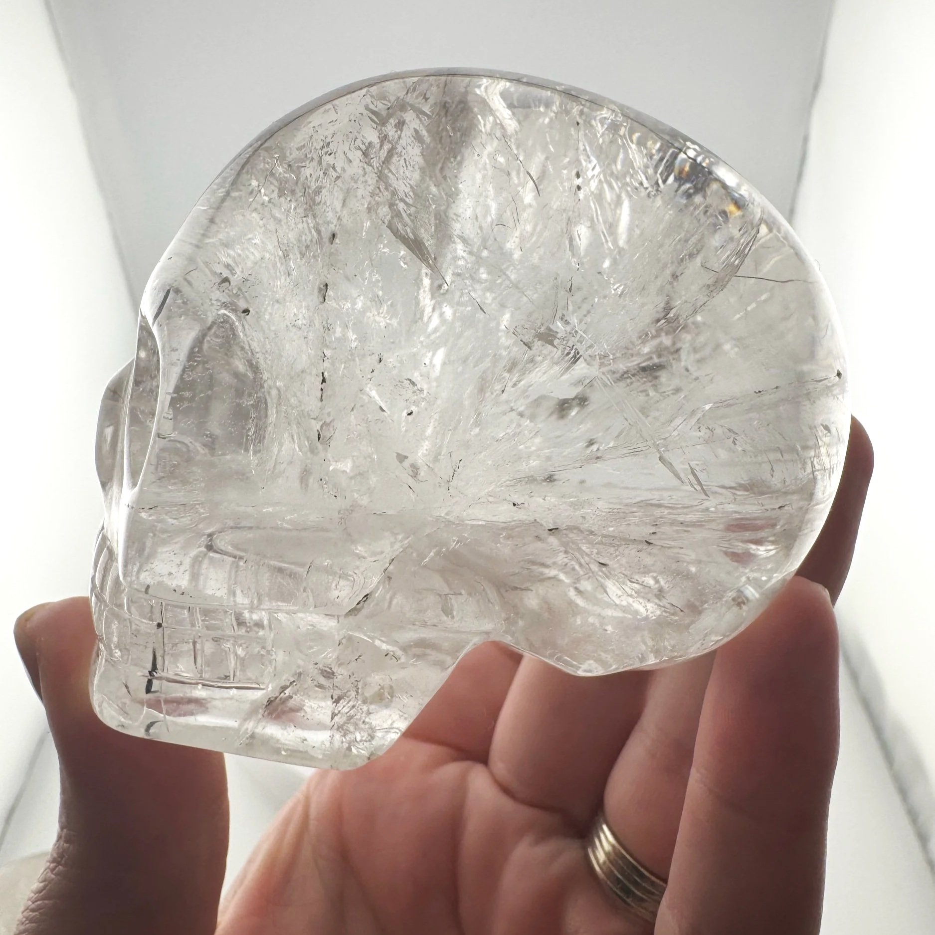 Leandro de Souza Rutile in Quartz Skull