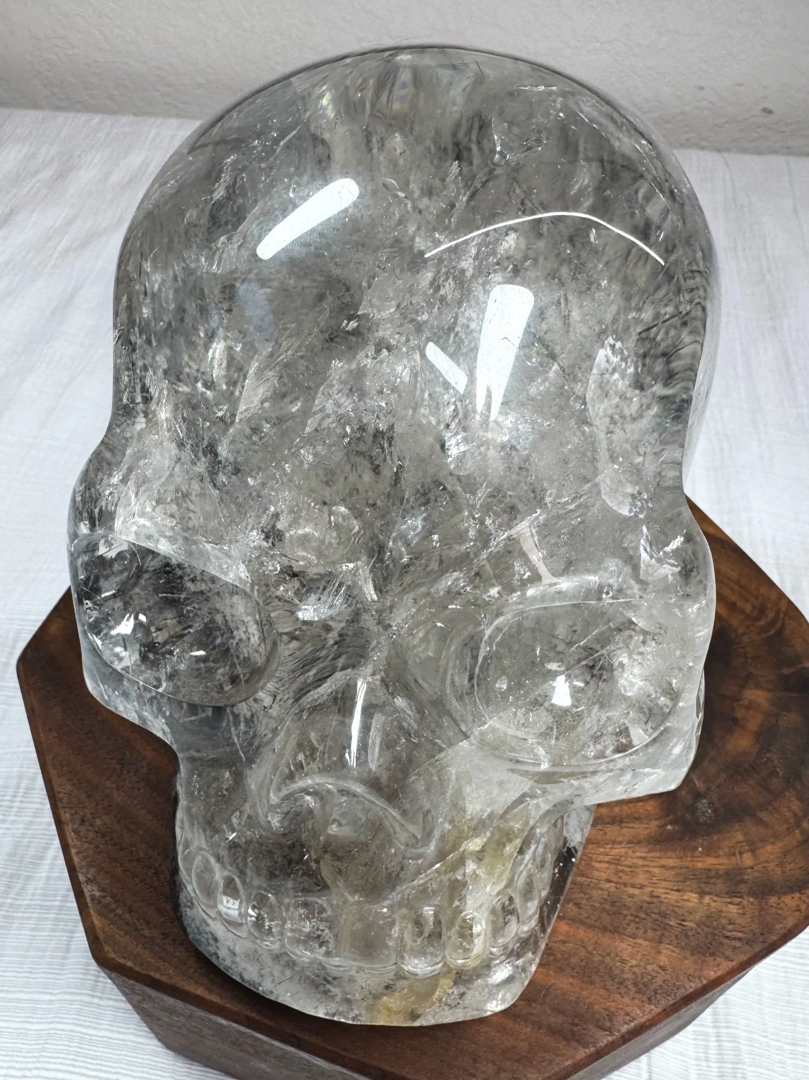 Leandro de Souza Black Tourmaline and Lodolite in Quartz Master Skull