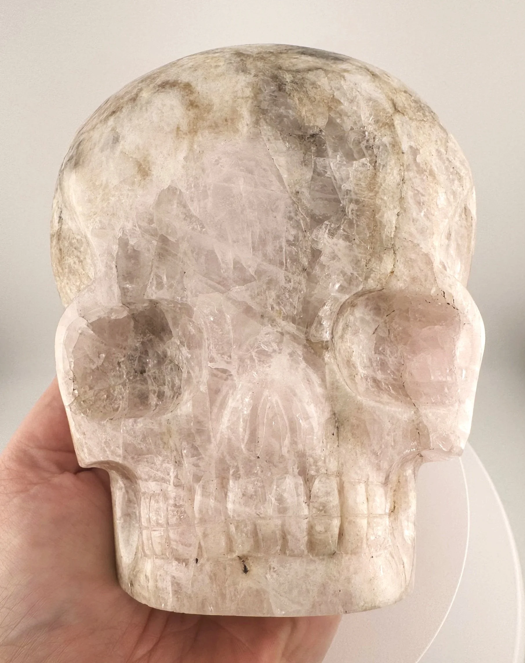 Leandro de Souza Morganite Shaman Skull