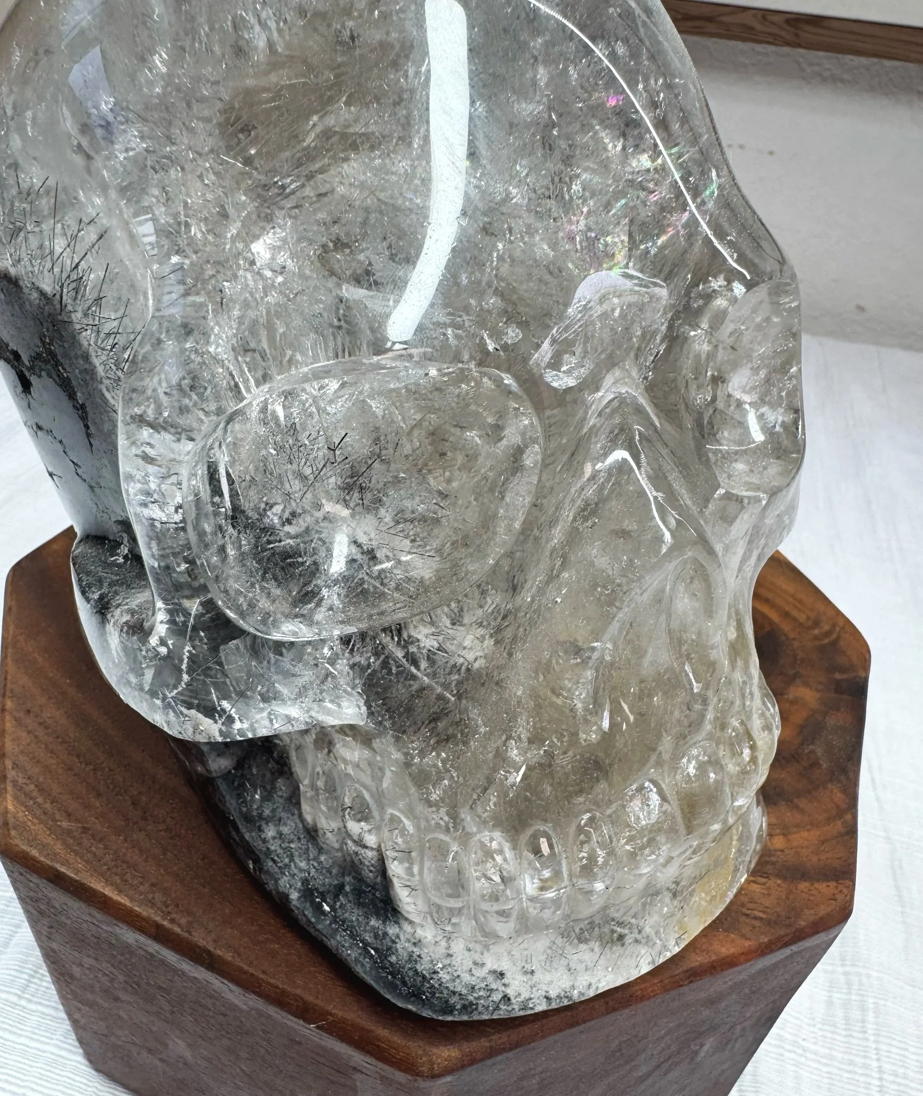 Leandro de Souza Black Tourmaline and Lodolite in Quartz Master Skull