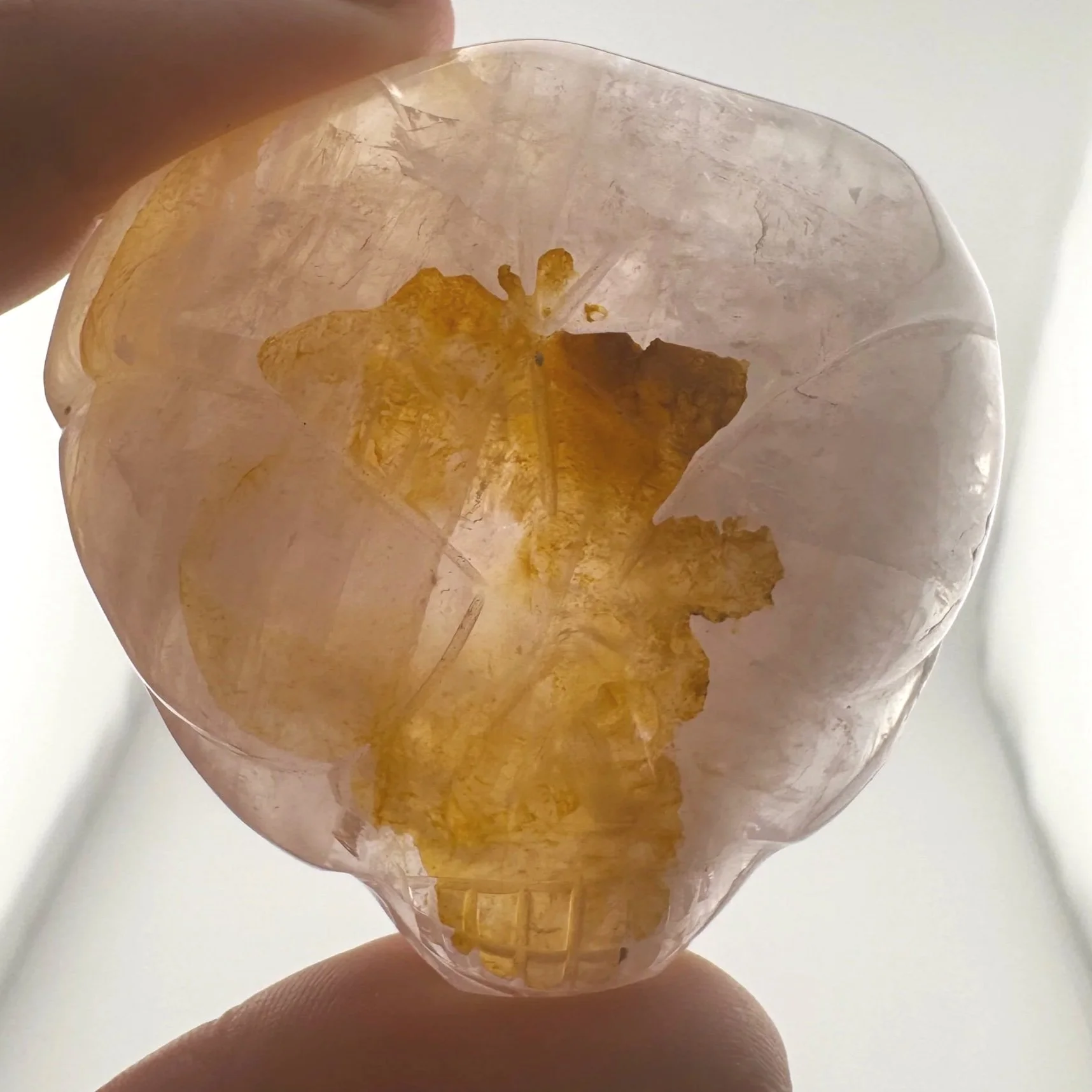 Leandro de Souza Rose Quartz Golden Healer Star Being Palm Skull