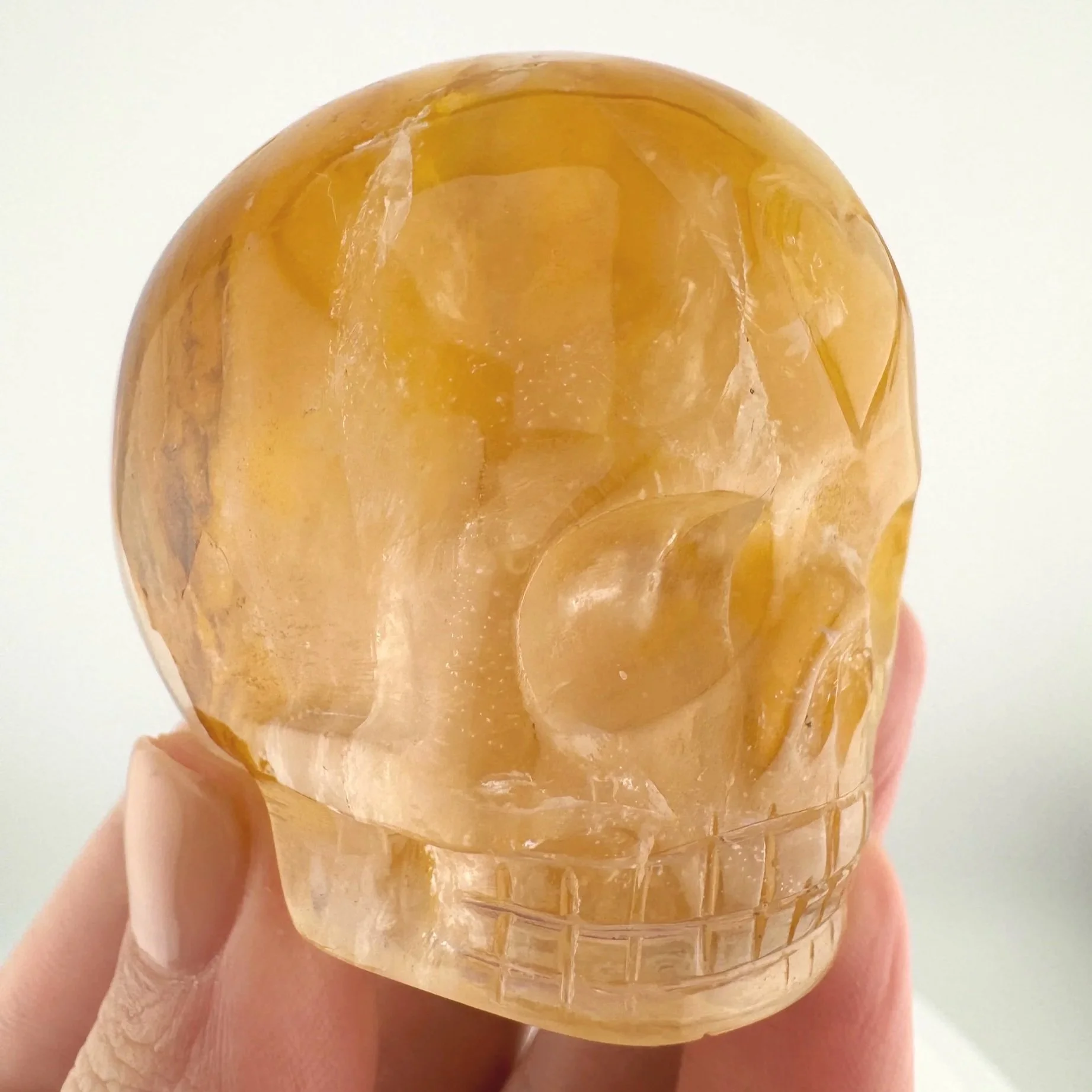 Leandro de Souza Golden Healer Magical Child Skull