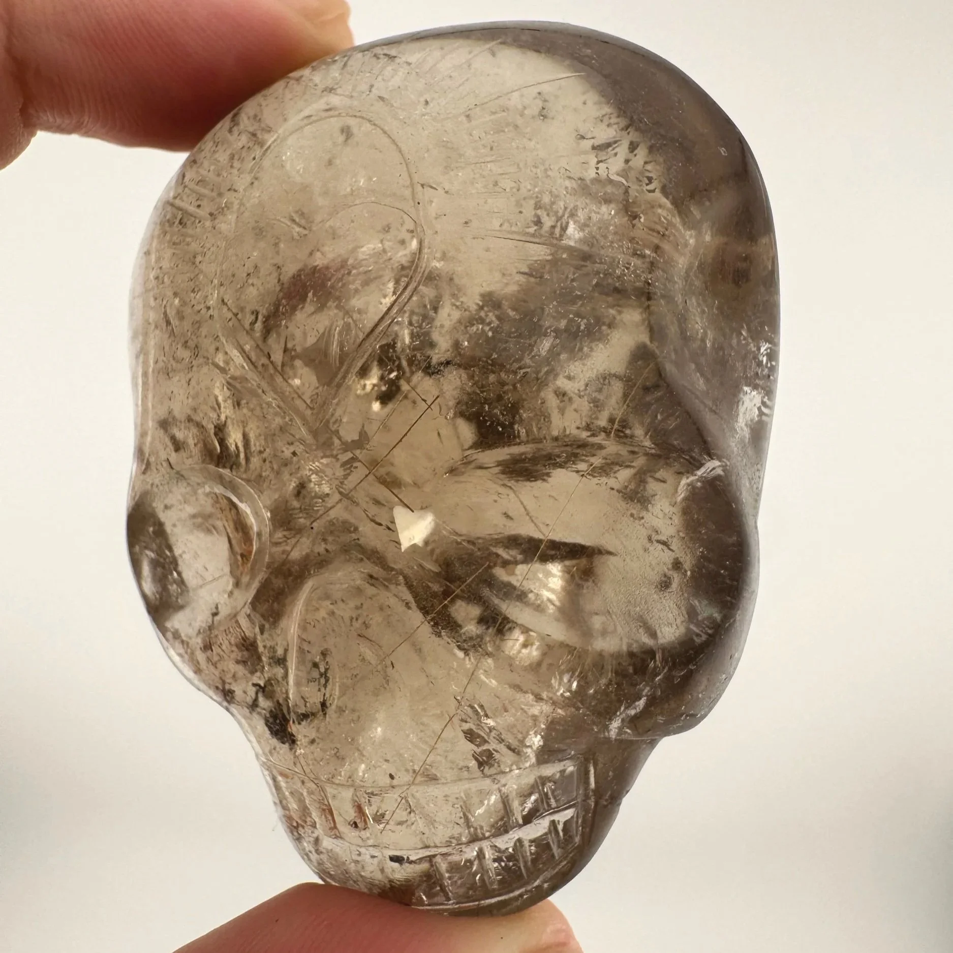 Leandro de Souza Smoky Garden Rutile Magical Child Palm Skull