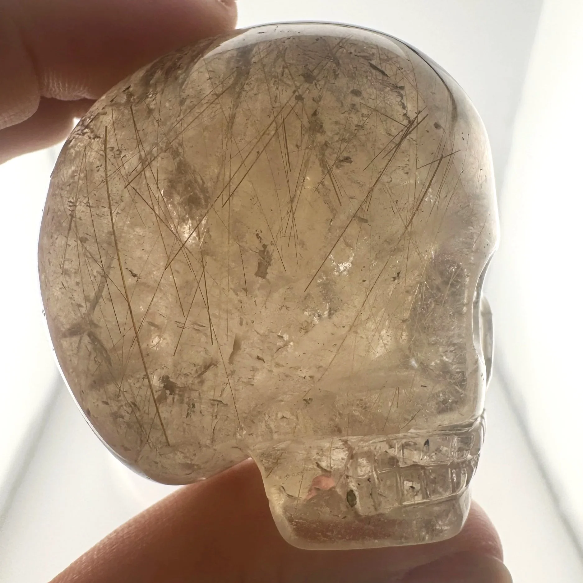 Leandro de Souza Golden Rutile in Smoky Quartz Magical Child Palm Skull