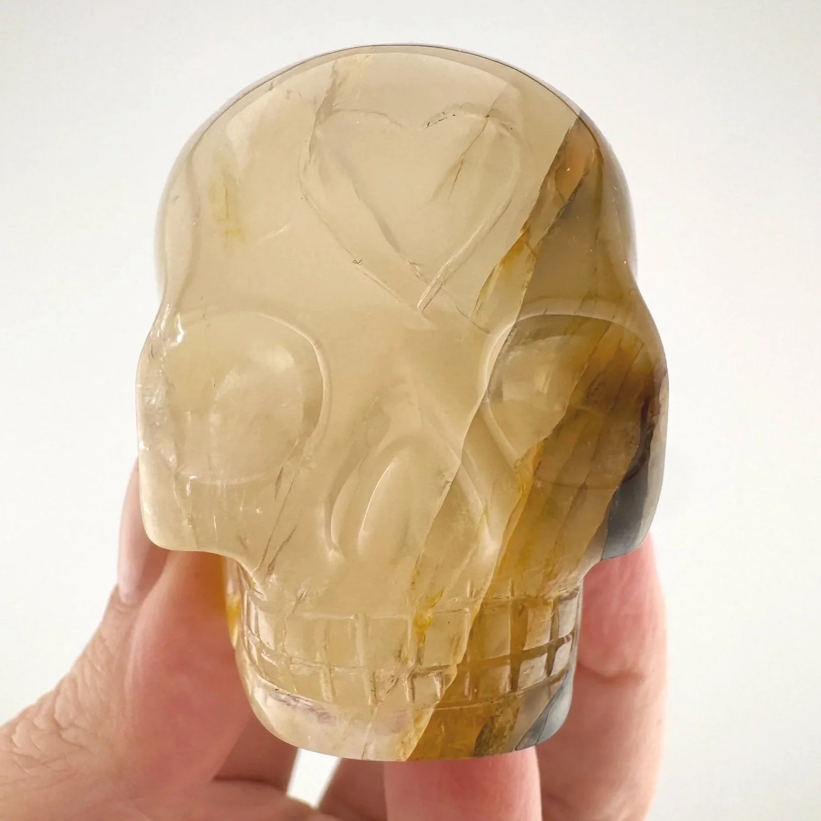 Leandro de Souza Golden Healer Skull