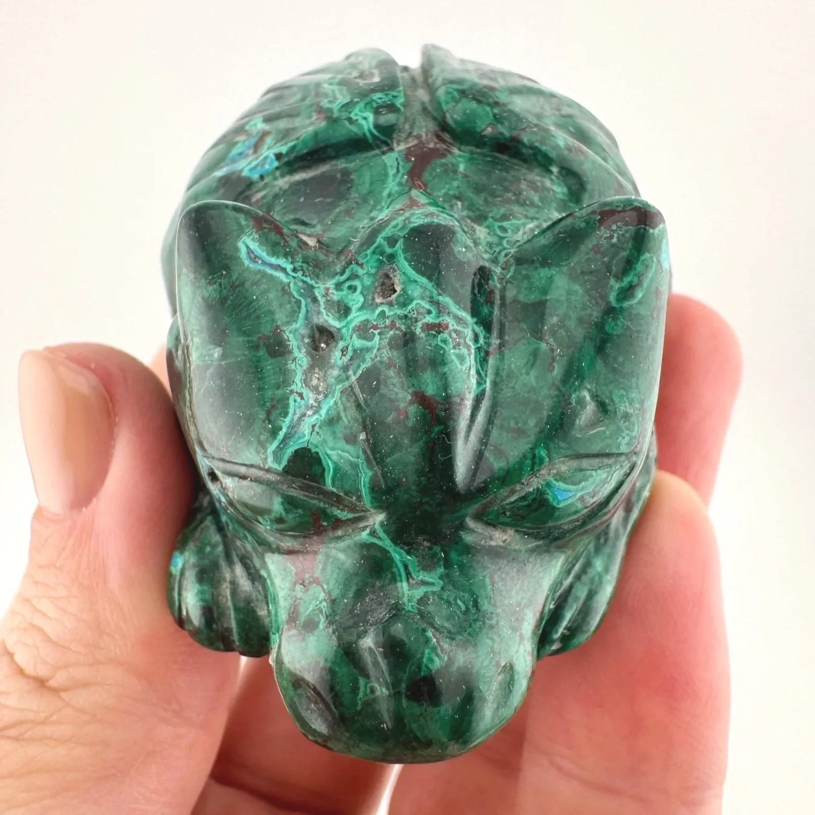 Leandro de Souza Malachite Chrysocolla Dodo Dragon