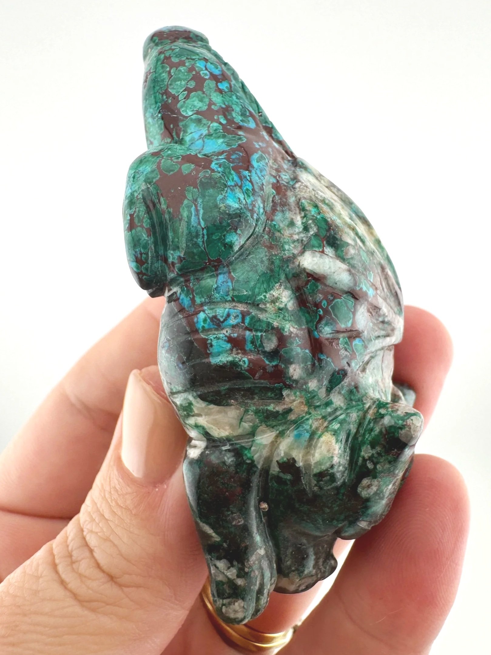 Leandro de Souza Malachite Chrysocolla Dodo Dragon