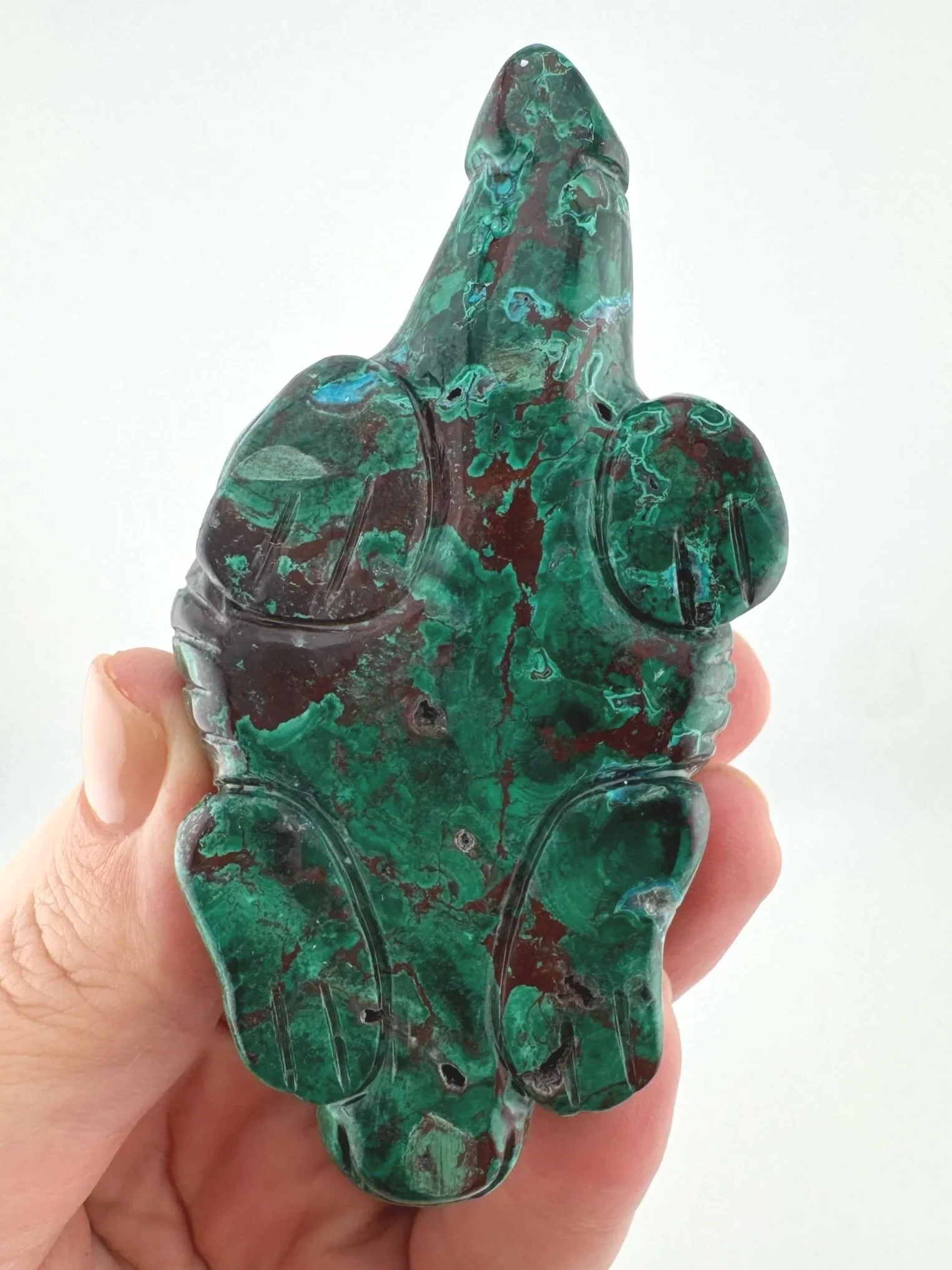 Leandro de Souza Malachite Chrysocolla Dodo Dragon