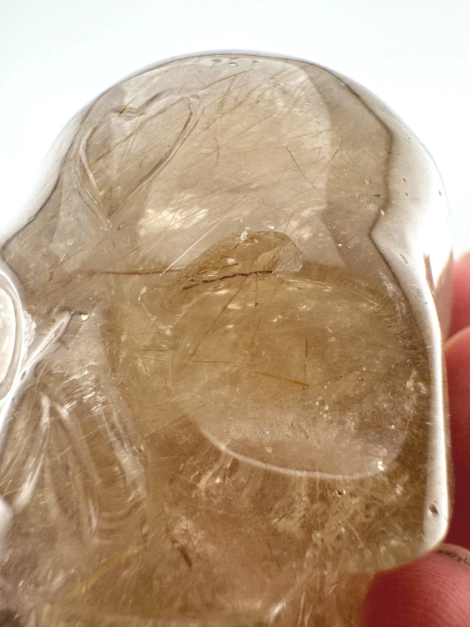 Leandro de Souza Golden Rutile in Smoky Quartz Skull